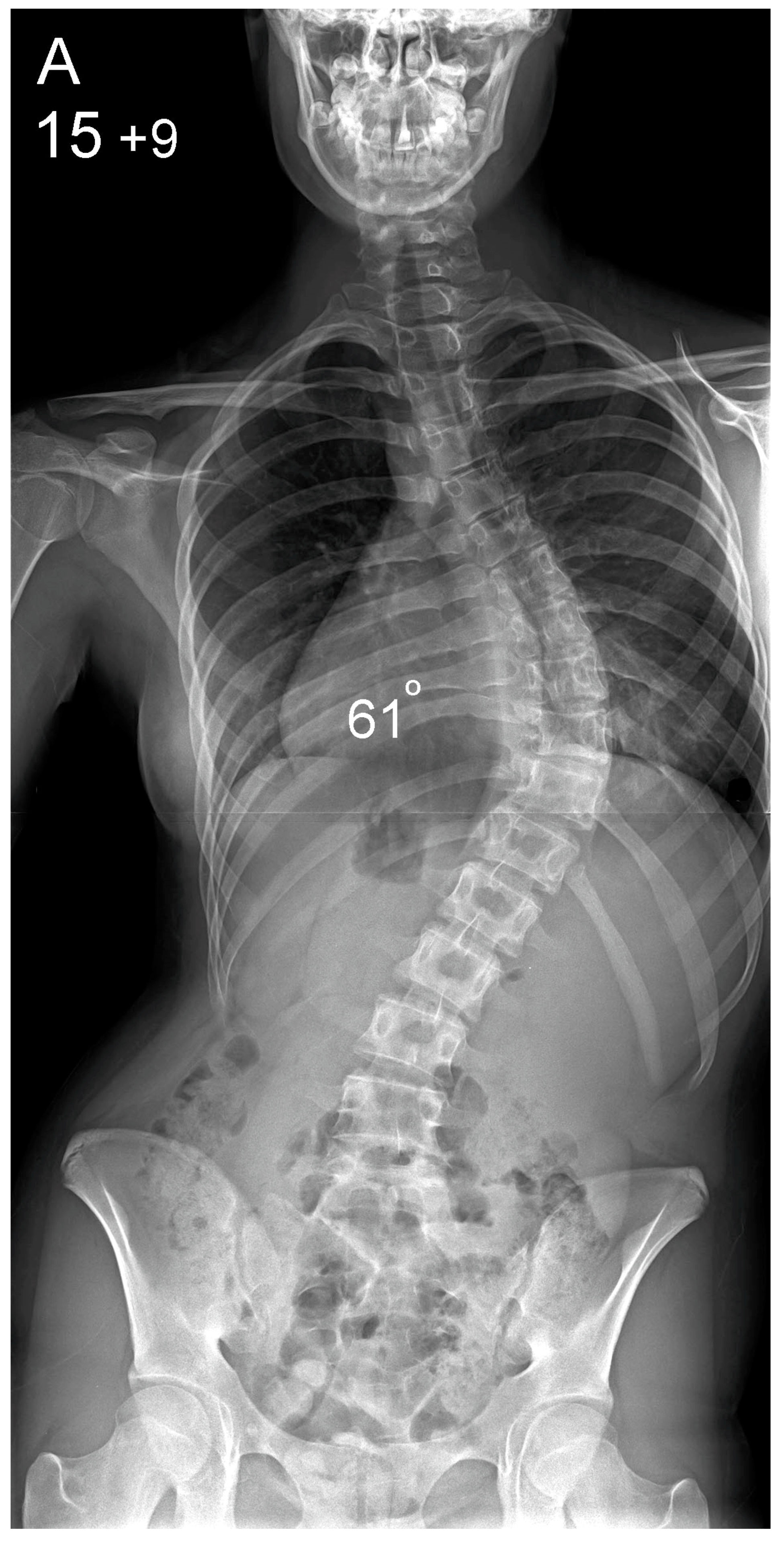 Healthcare 10 01455 g001a Healthcare 10 01455 g001a