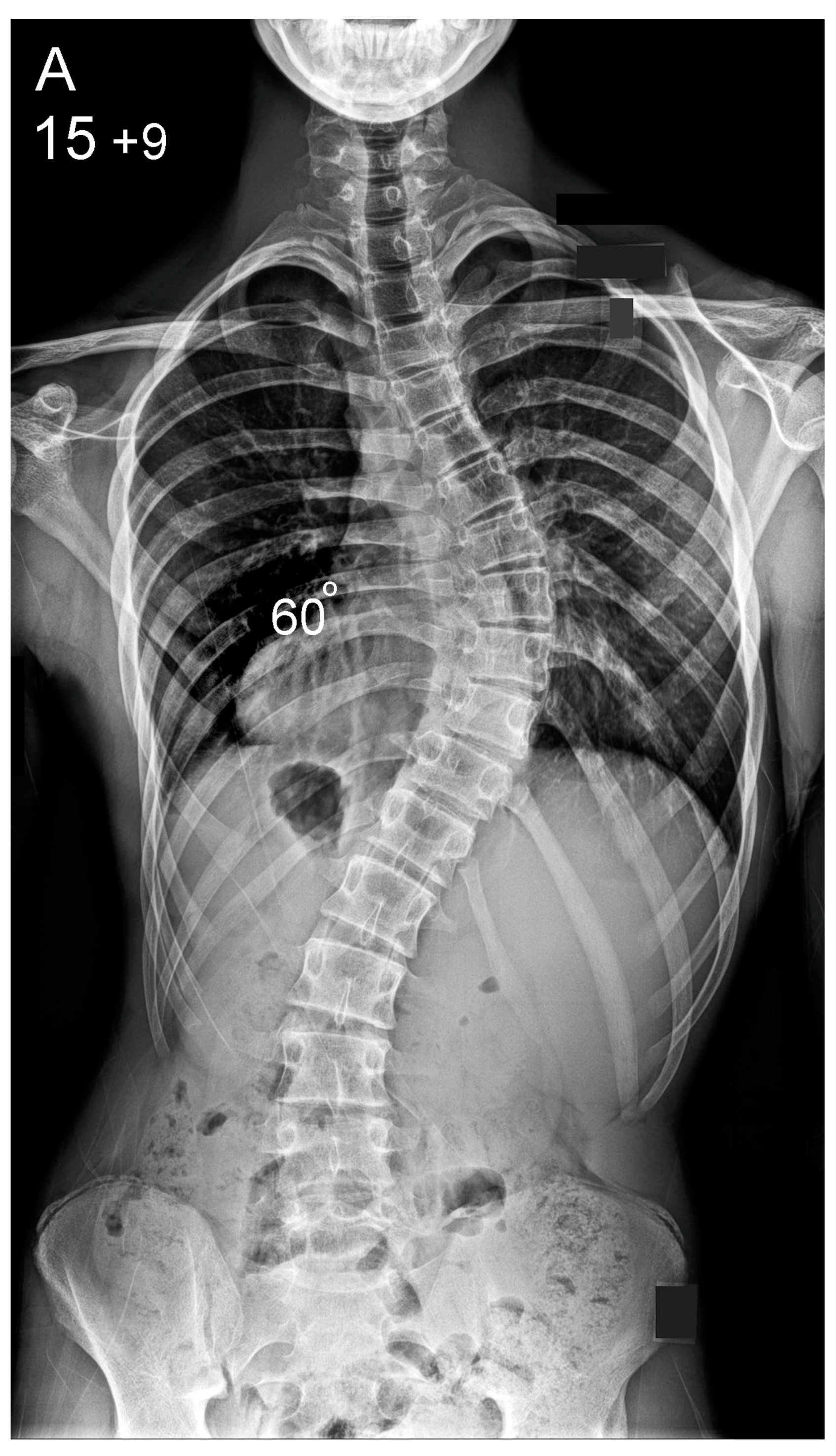 Healthcare 10 01455 g002a Healthcare 10 01455 g002a