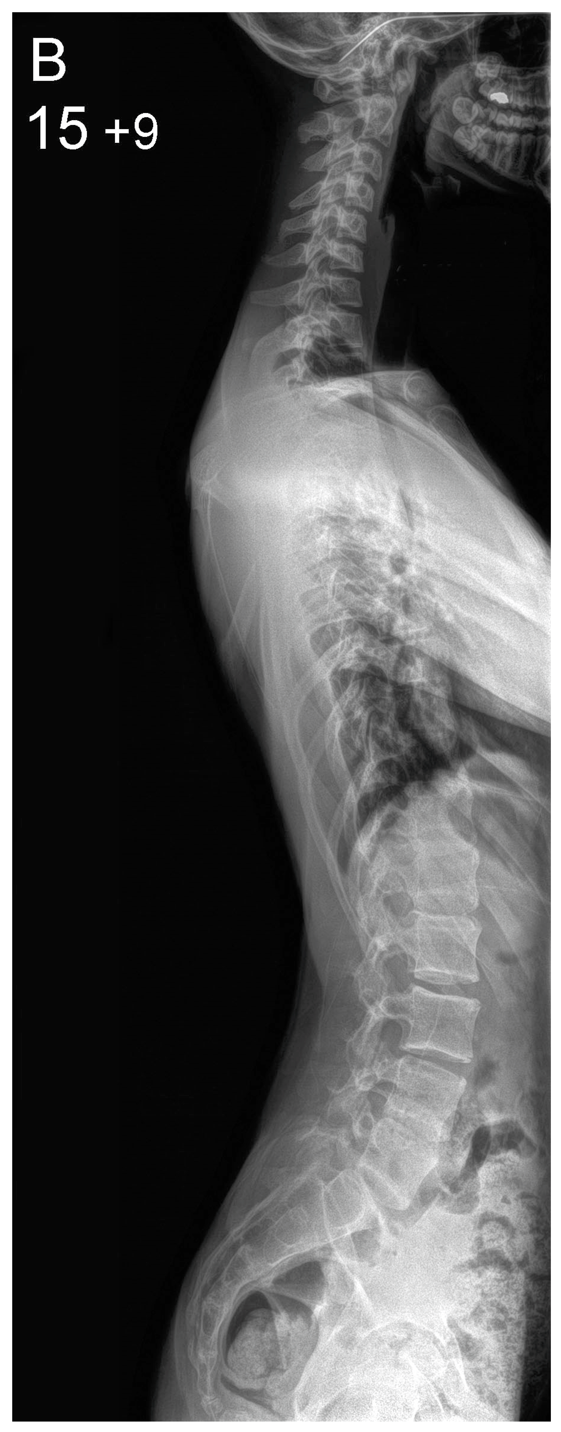 Healthcare 10 01455 g002b Healthcare 10 01455 g002b