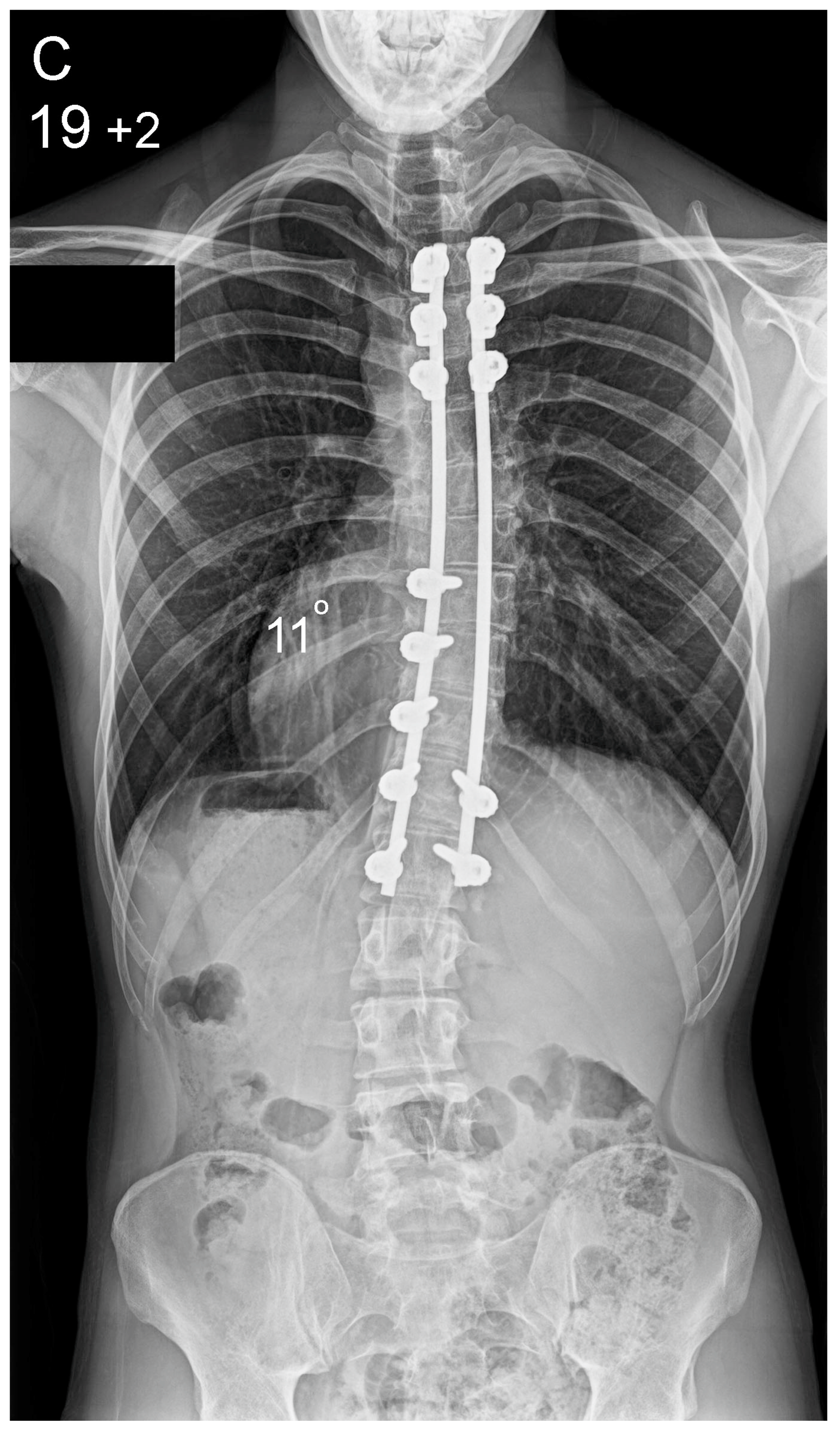 Healthcare 10 01455 g002c Healthcare 10 01455 g002c