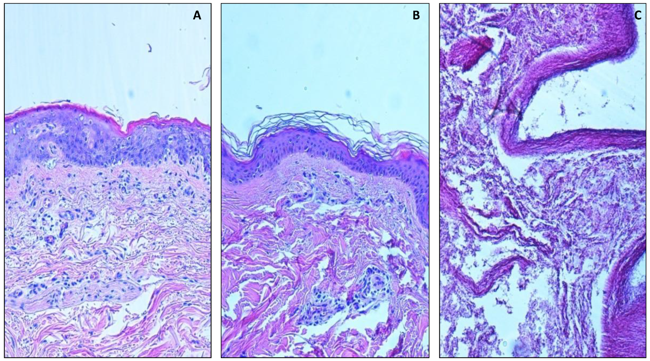 Healthcare 10 01495 g001
