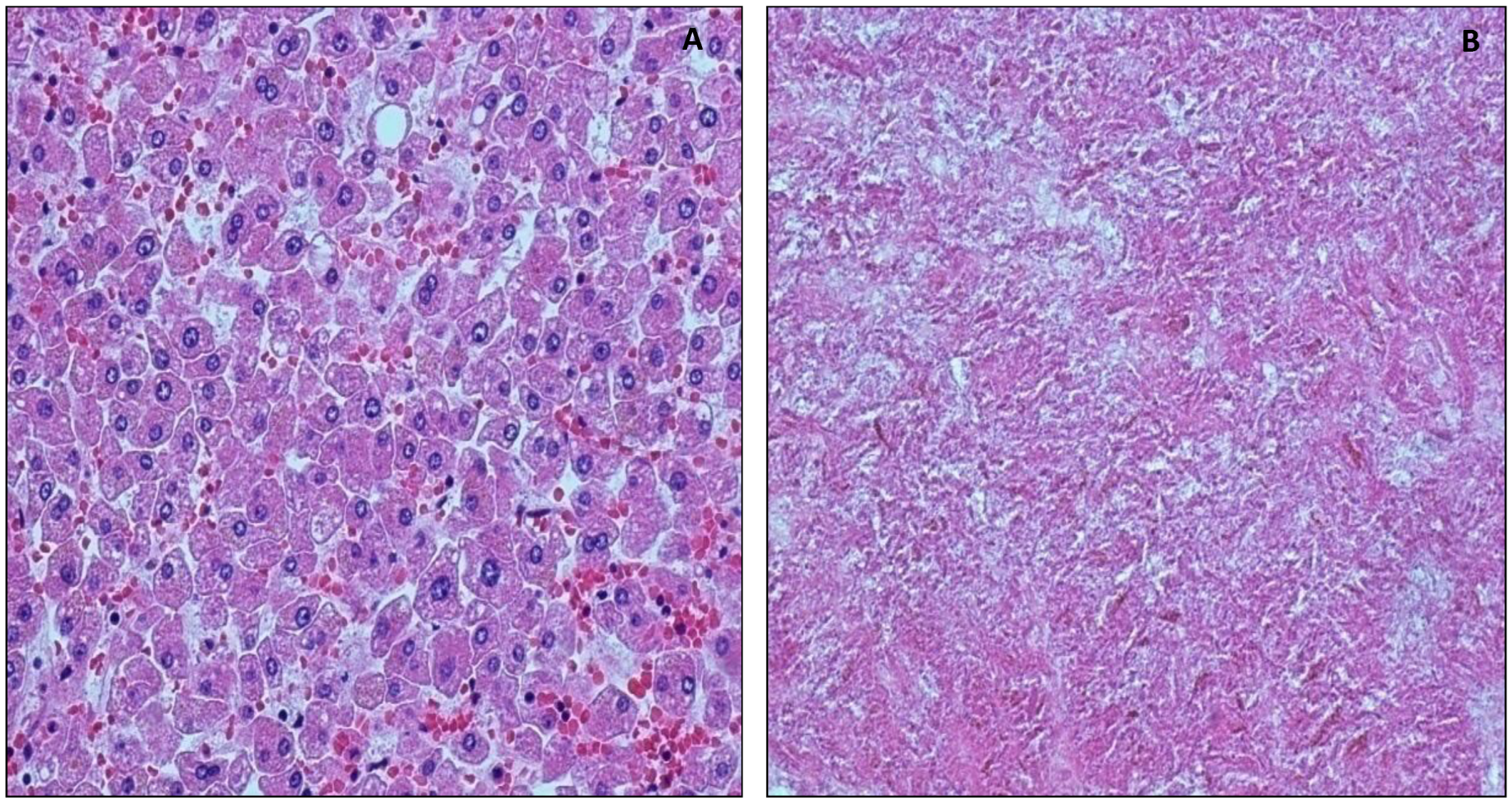 Healthcare 10 01495 g003