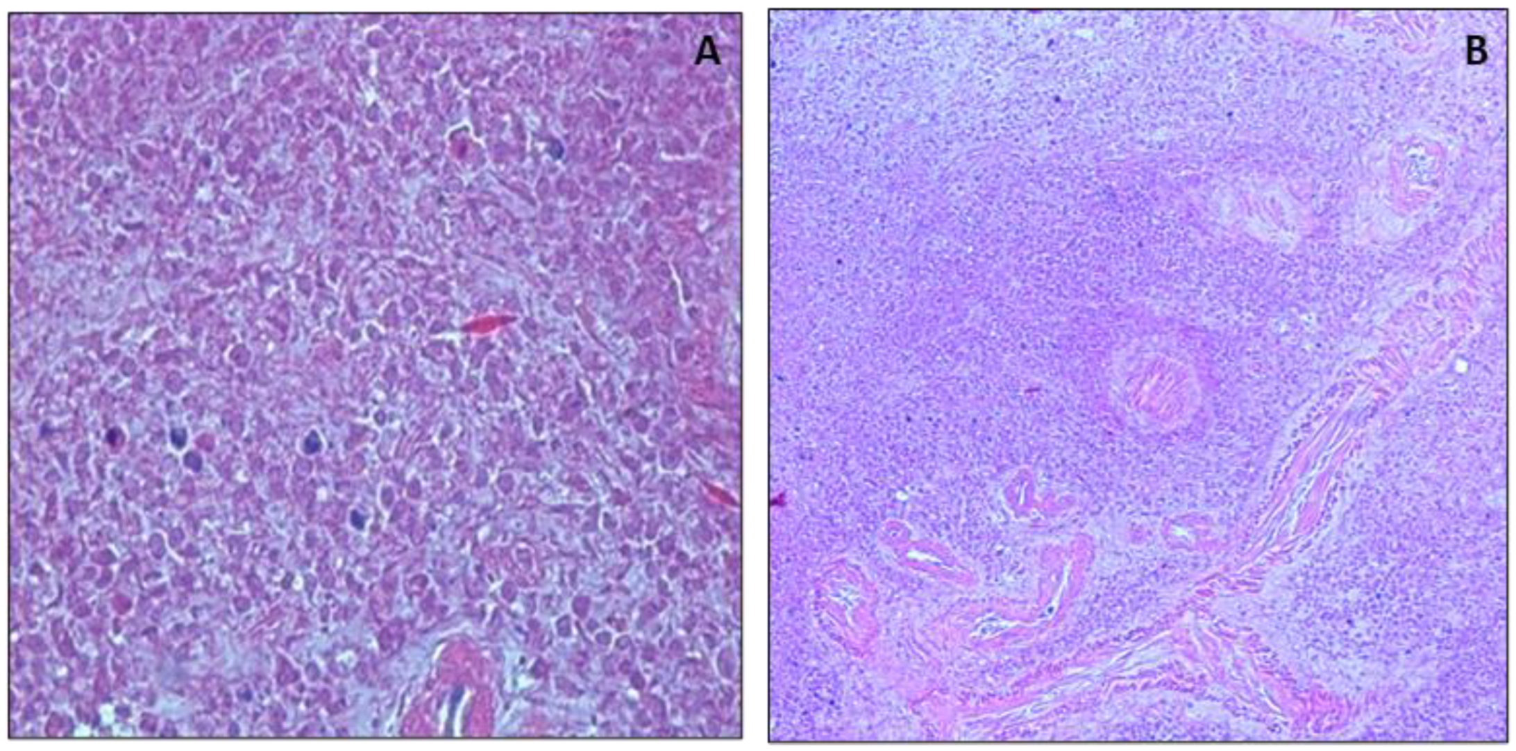 Healthcare 10 01495 g004