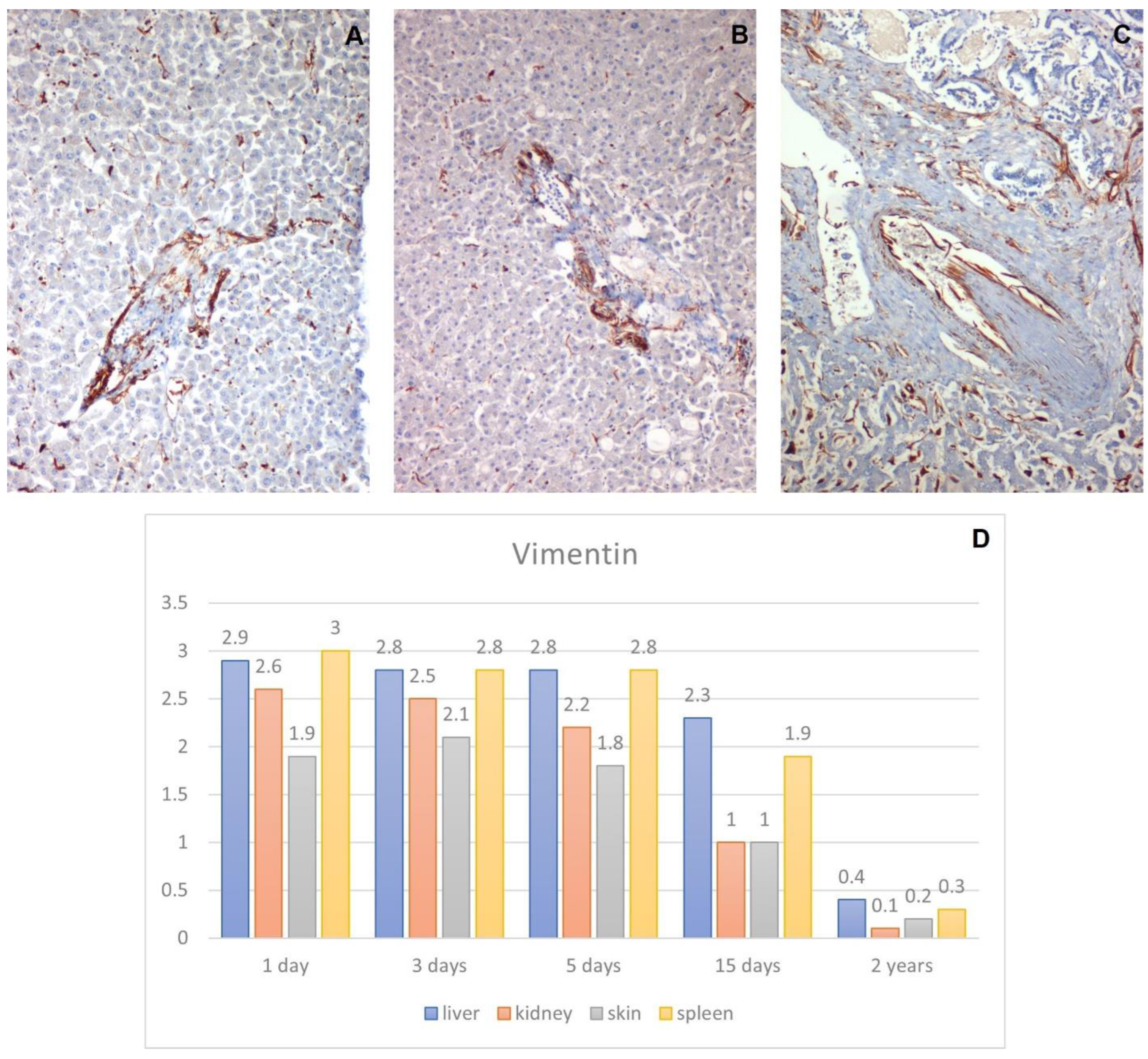 Healthcare 10 01495 g005