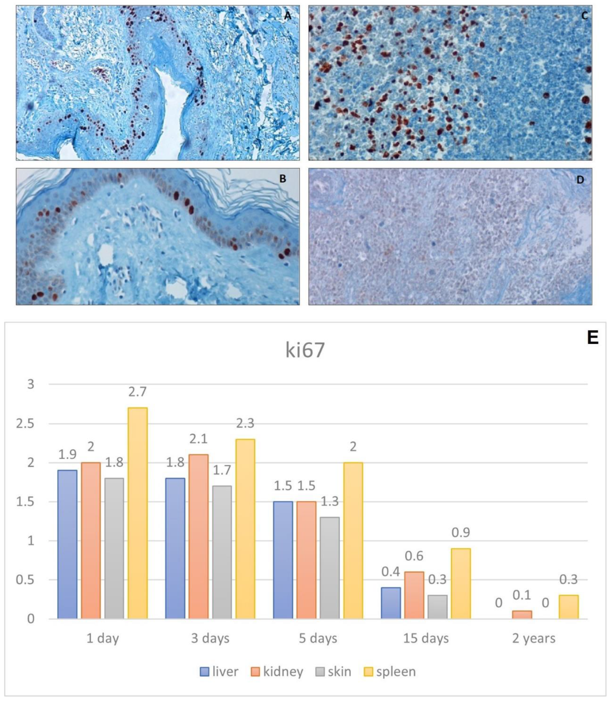 Healthcare 10 01495 g006