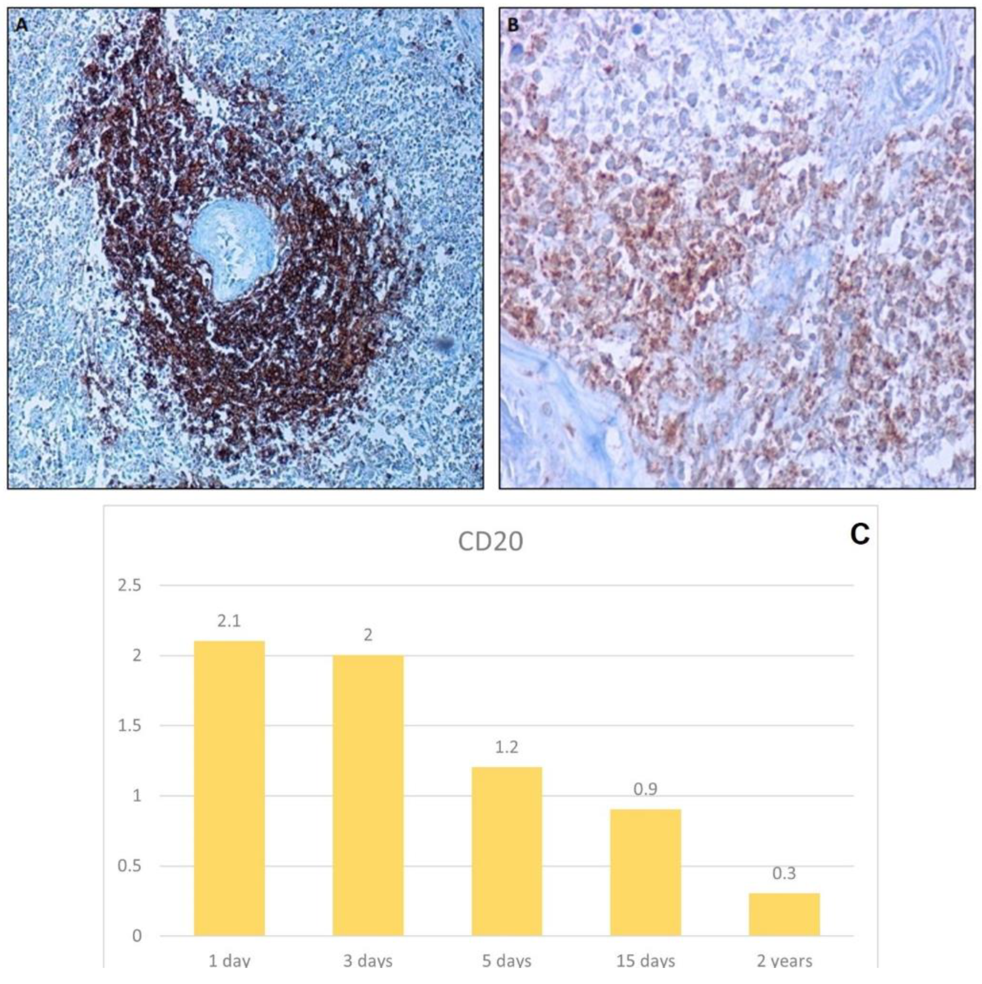 Healthcare 10 01495 g008