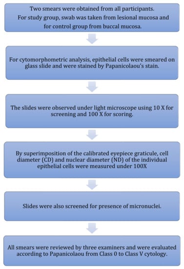 Healthcare 10 01507 g004 550
