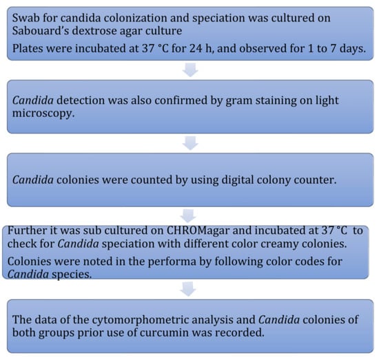 Healthcare 10 01507 g010 550