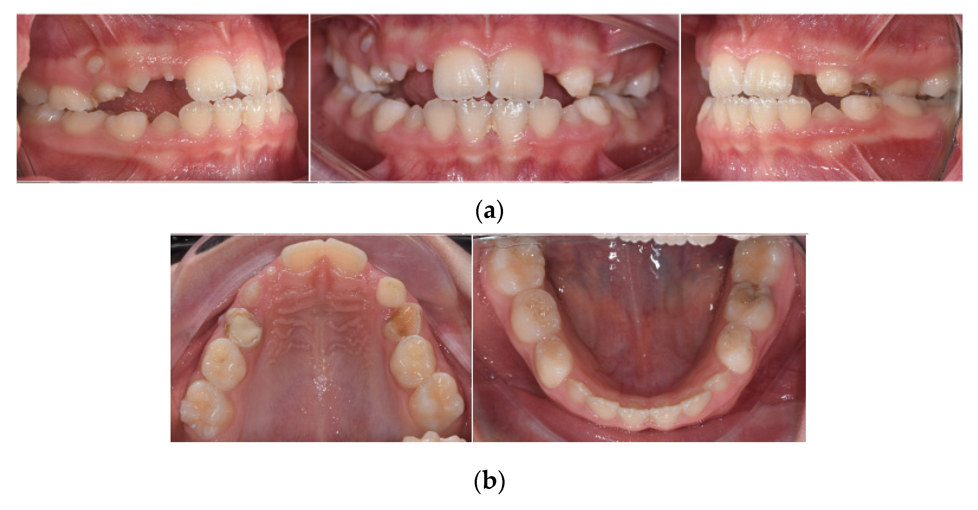 Healthcare 10 01521 g004
