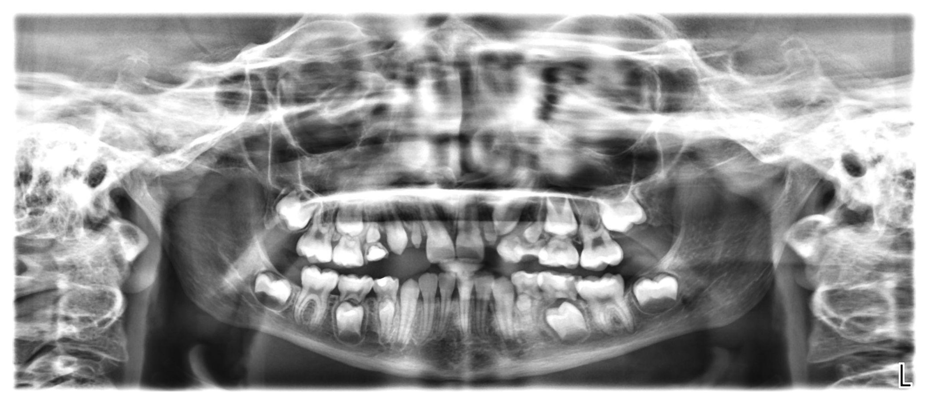 Healthcare 10 01521 g005