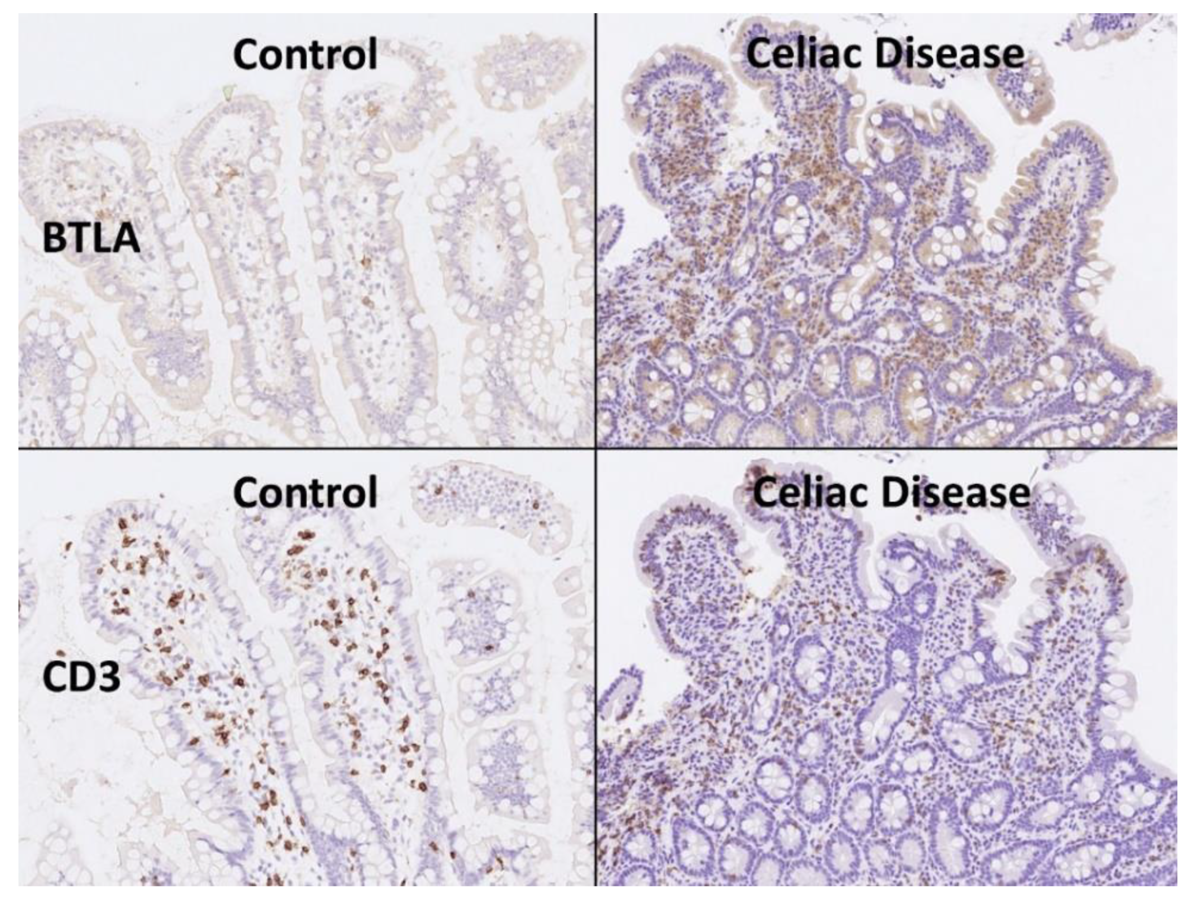 Healthcare 10 01550 g006