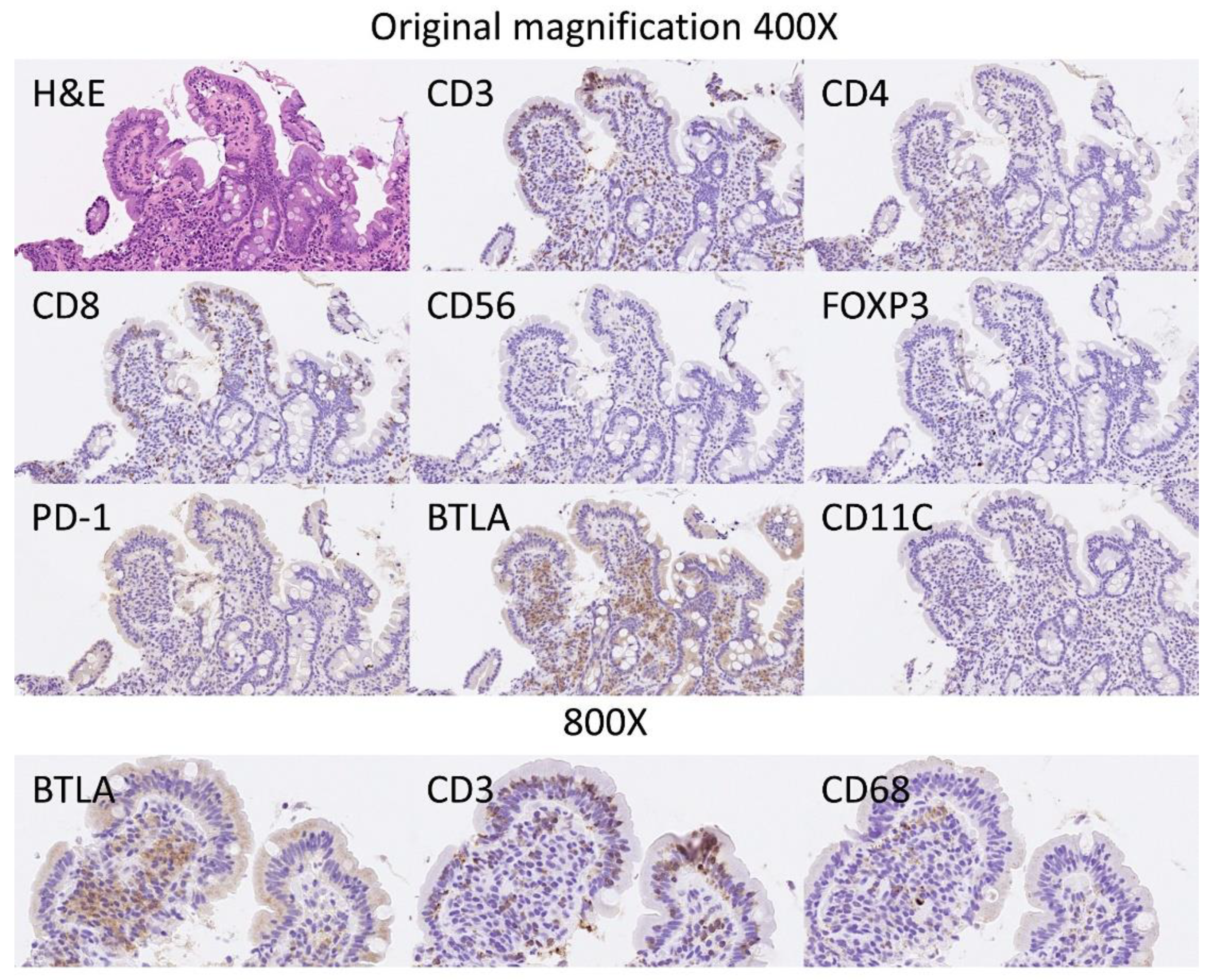 Healthcare 10 01550 g008