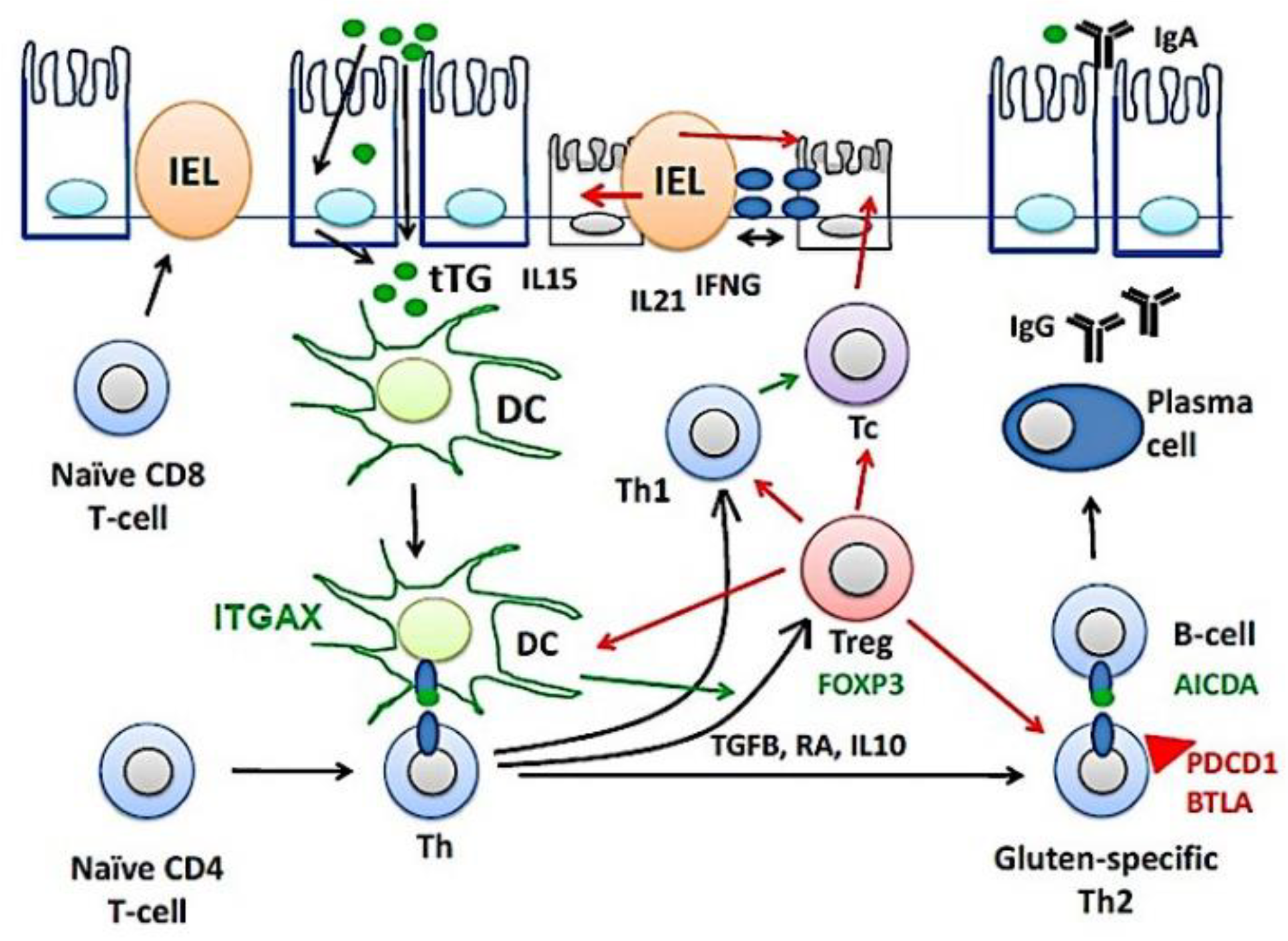Healthcare 10 01550 g010