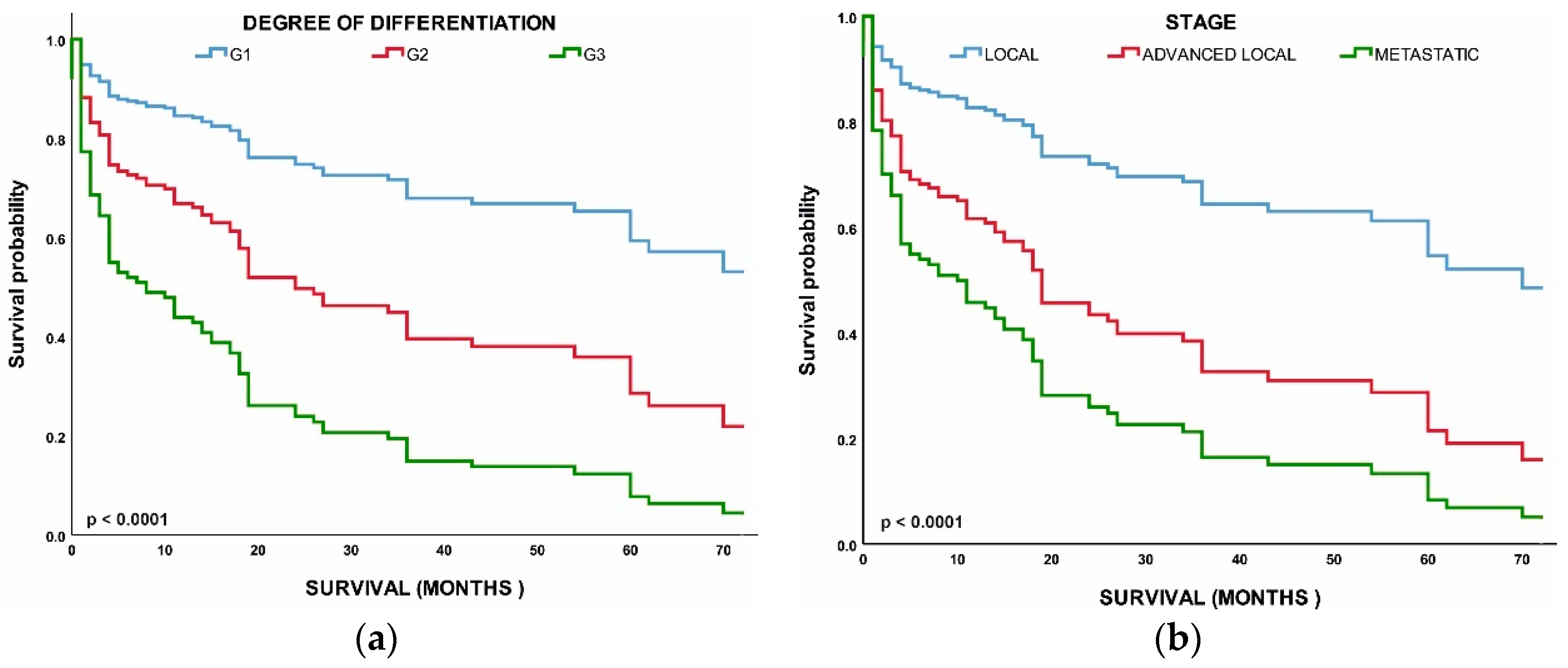 Healthcare 10 01569 g005