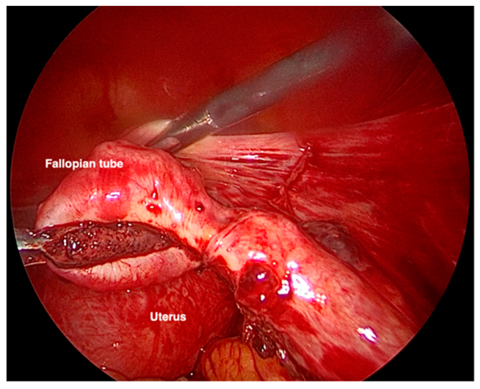 Healthcare 10 01590 g002