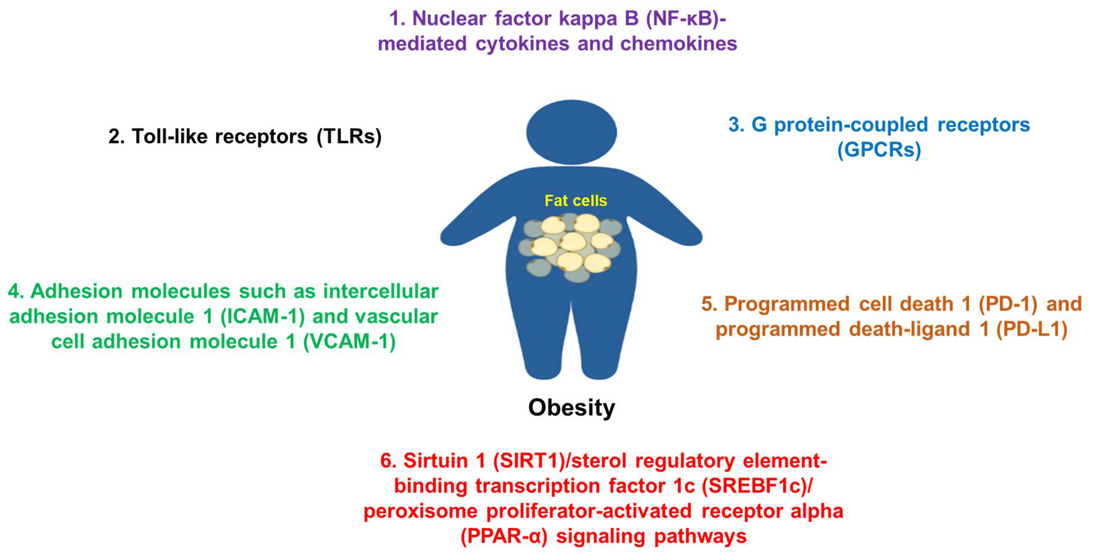 Healthcare 10 01616 g002