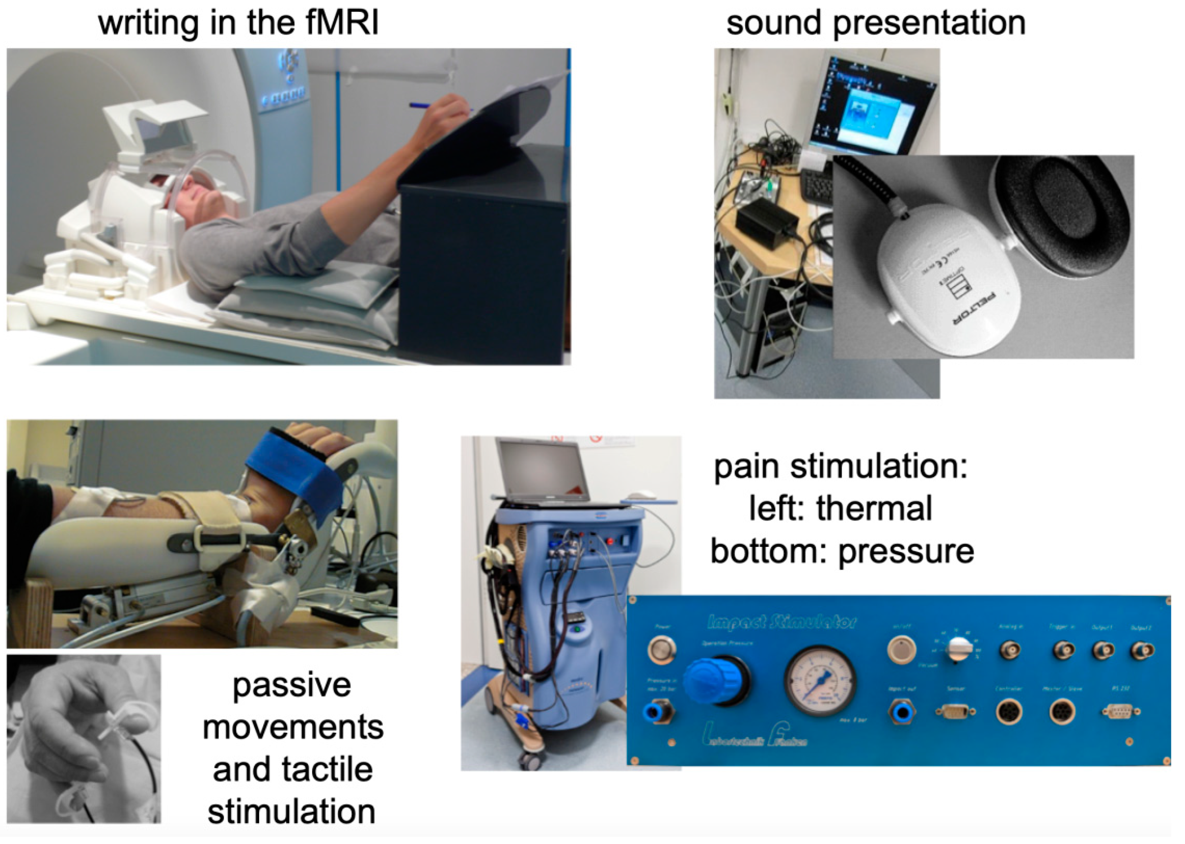 Healthcare 10 01646 g001