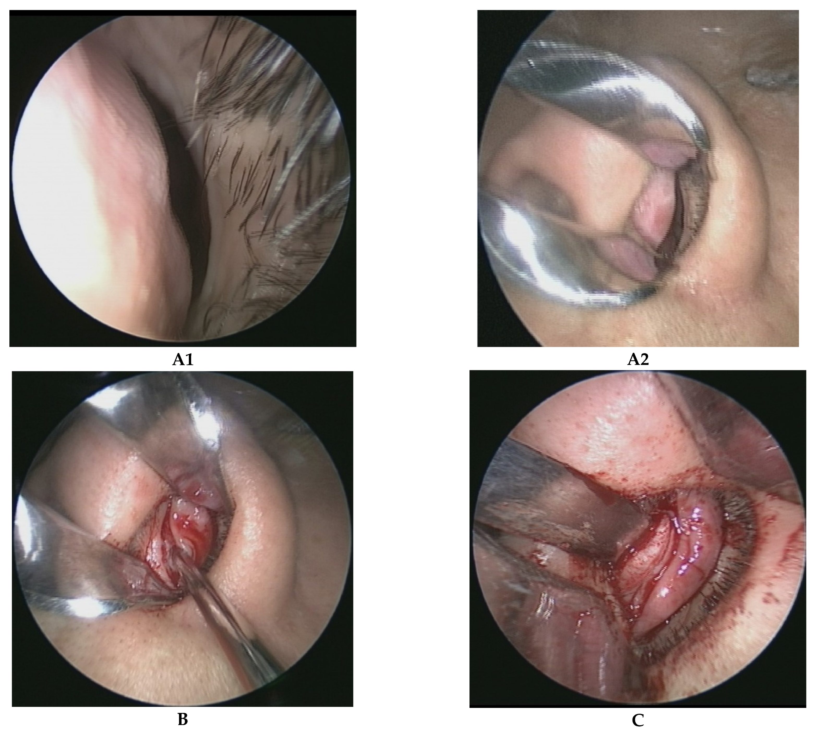 Healthcare 10 01739 g001a