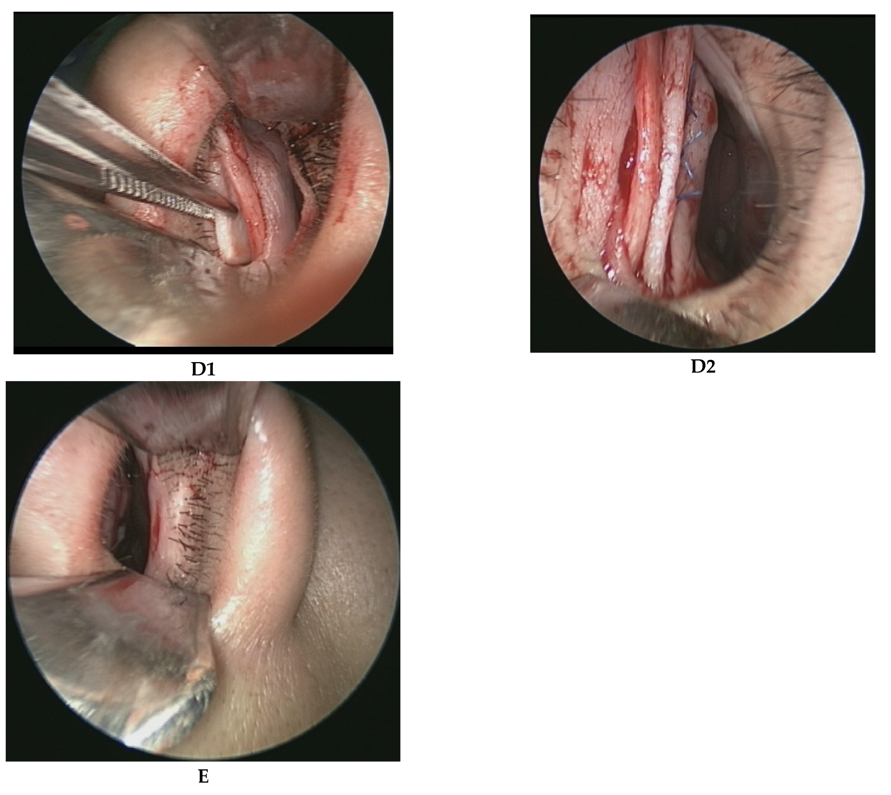 Healthcare 10 01739 g001b