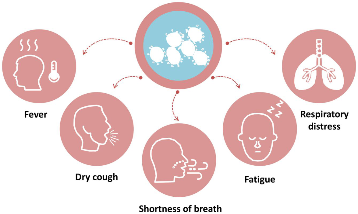 Healthcare 10 01874 g001
