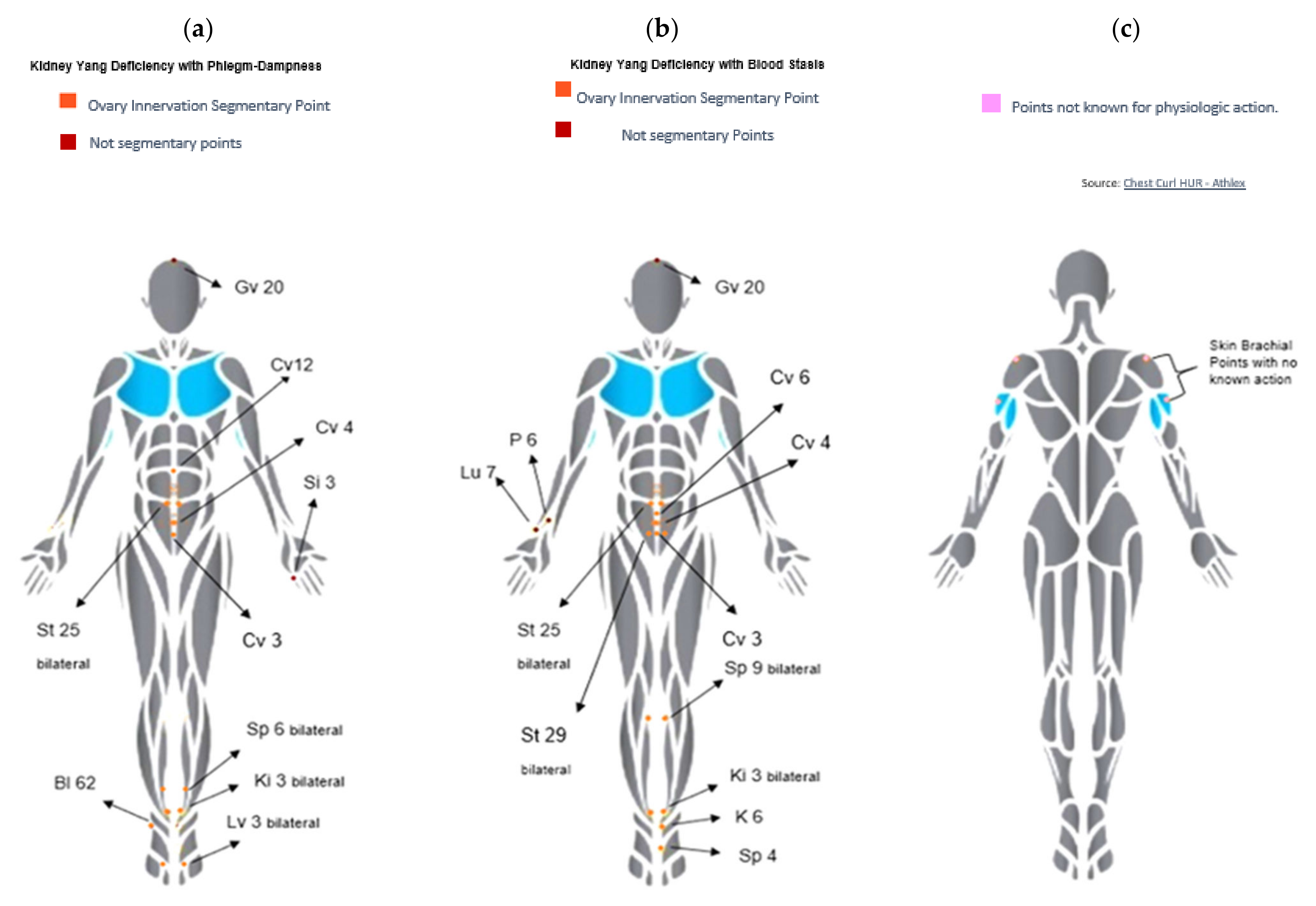 Healthcare 10 01999 g001
