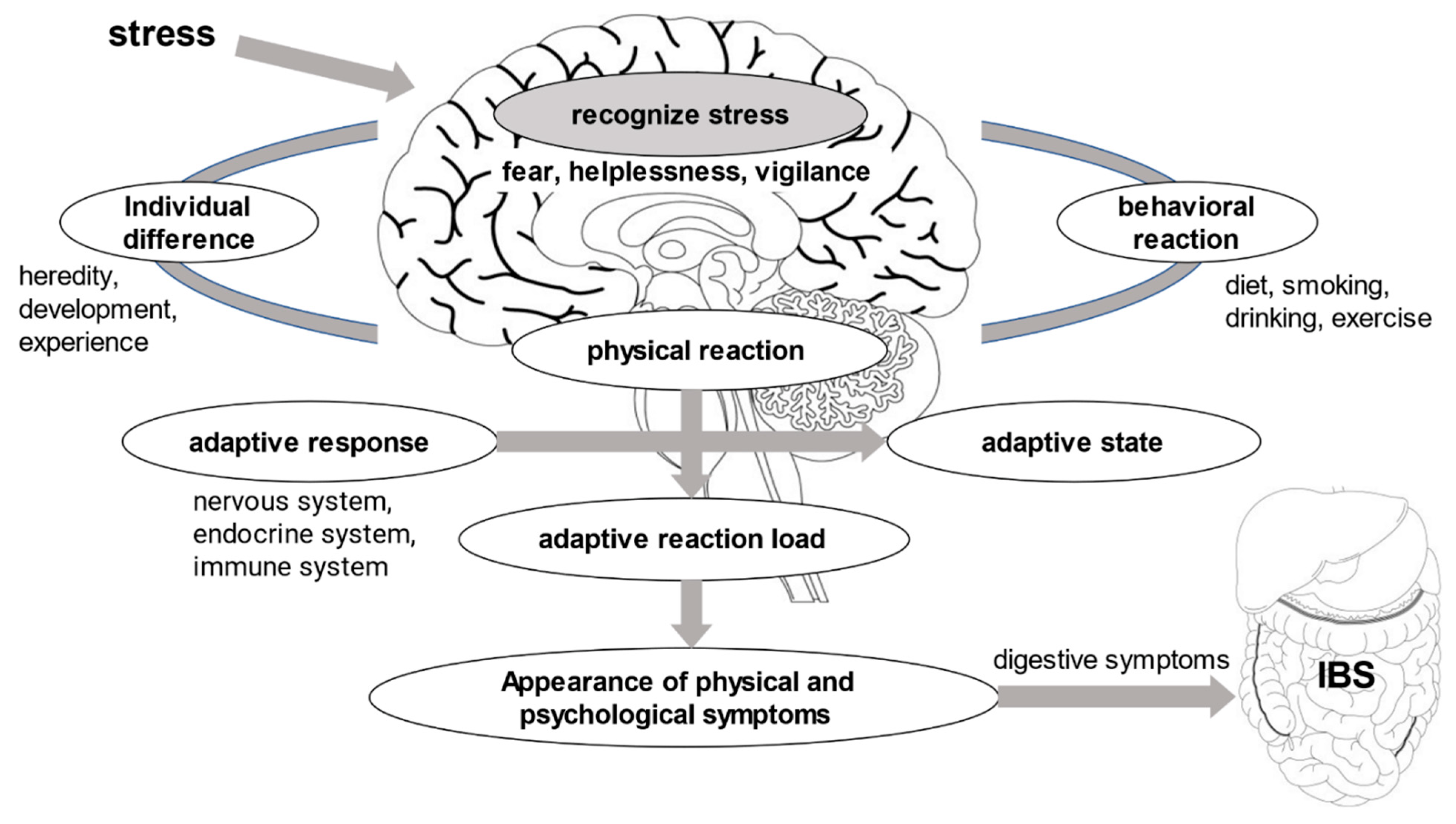 Healthcare 10 02011 g001