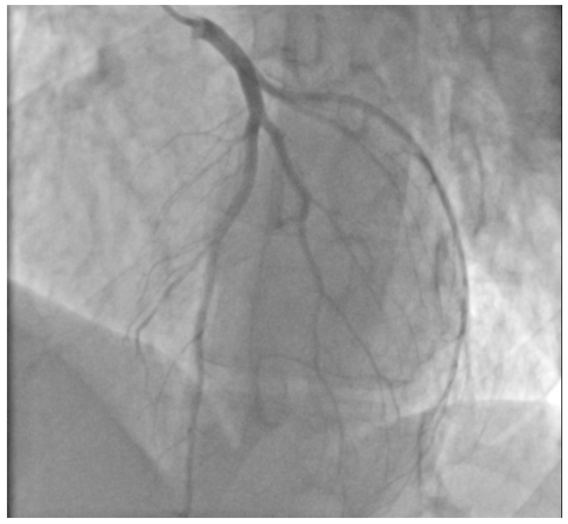 Healthcare 10 02024 g002