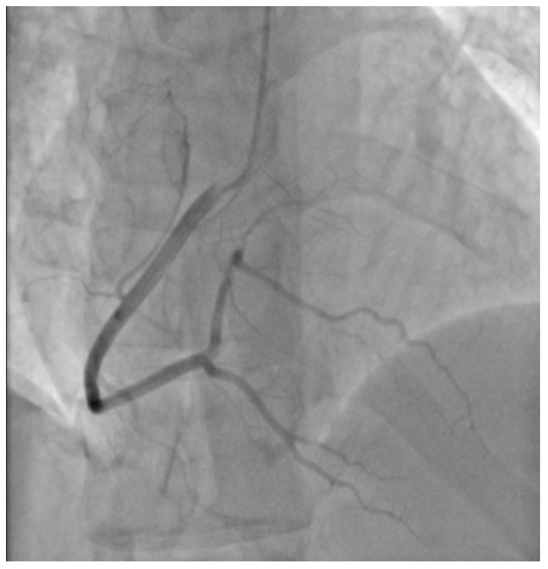 Healthcare 10 02024 g003