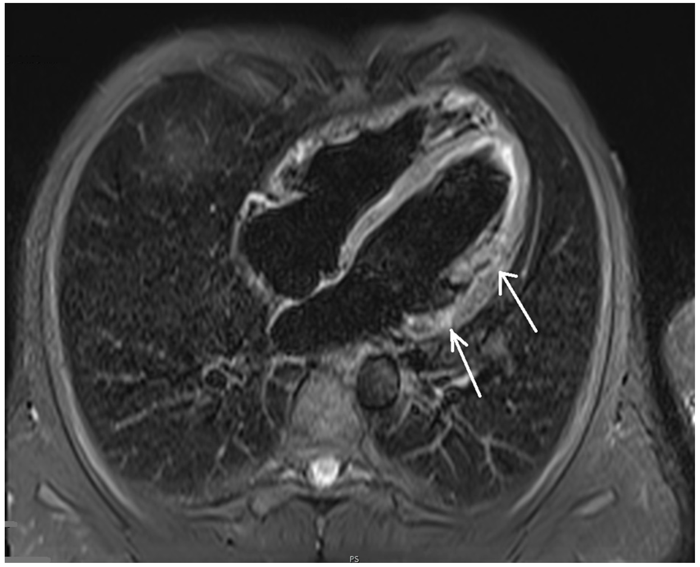 Healthcare 10 02024 g005