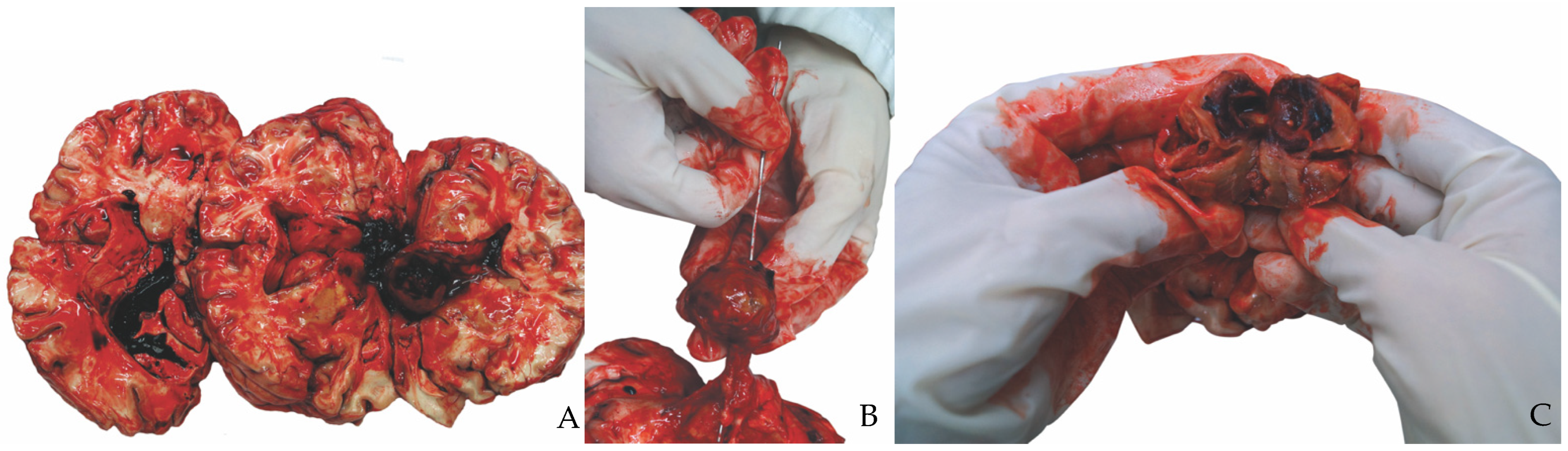 Healthcare 10 02053 g001