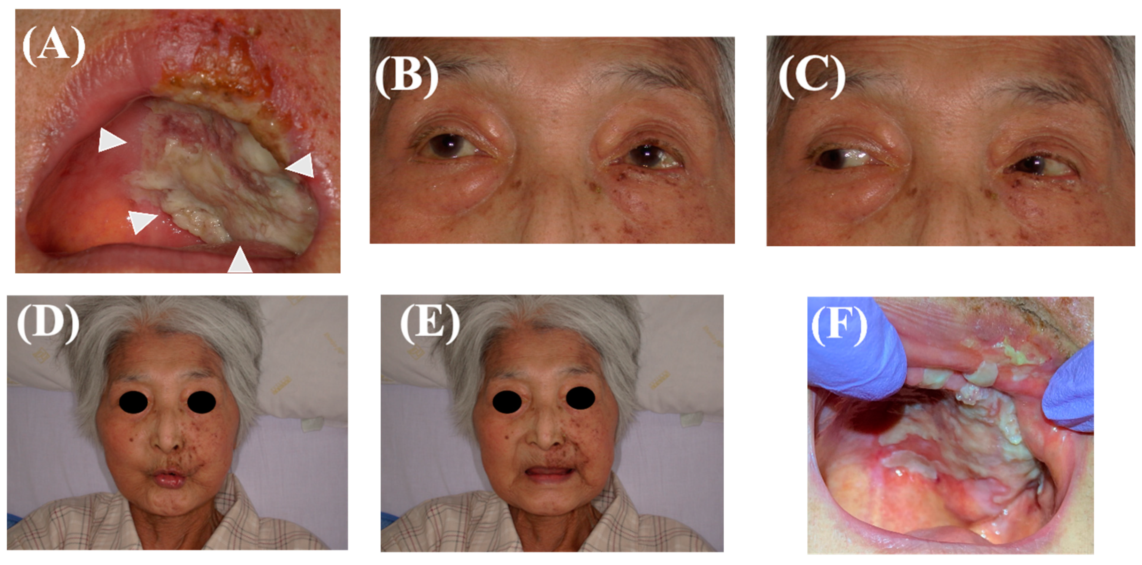 Healthcare 10 02249 g001