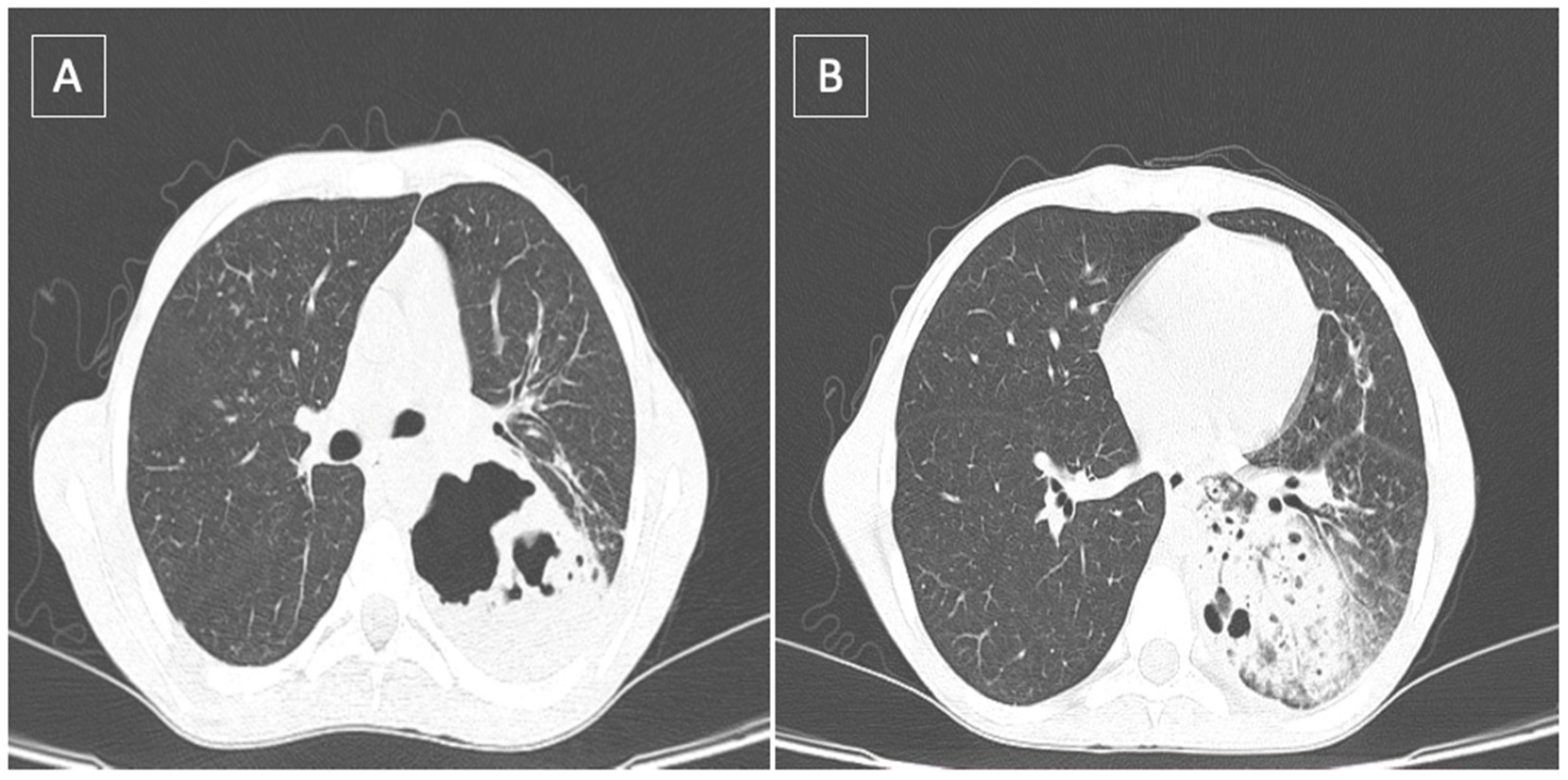 Healthcare 10 02267 g001
