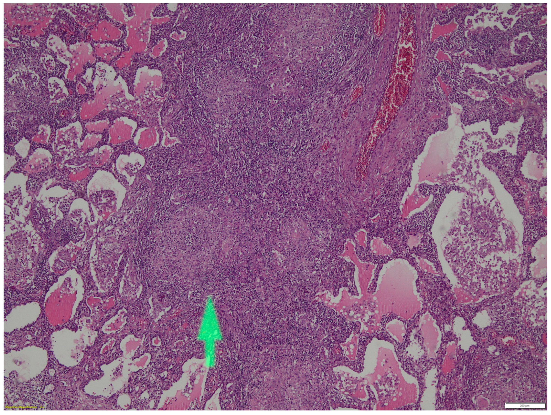 Healthcare 10 02267 g002