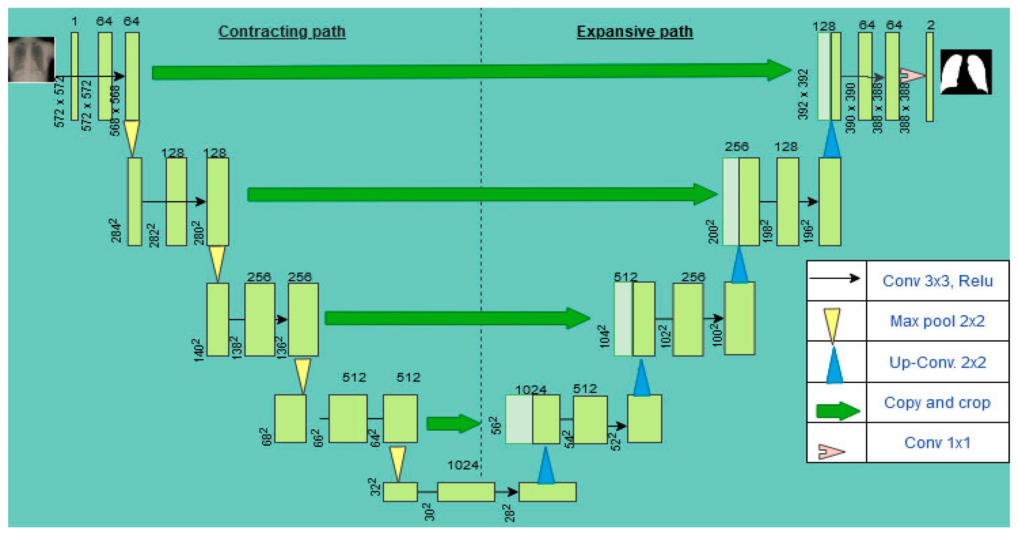 Healthcare 10 02335 g003