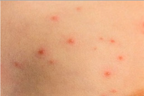 Healthcare 10 02396 i002