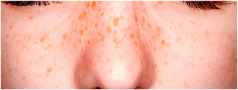 Healthcare 10 02396 i005