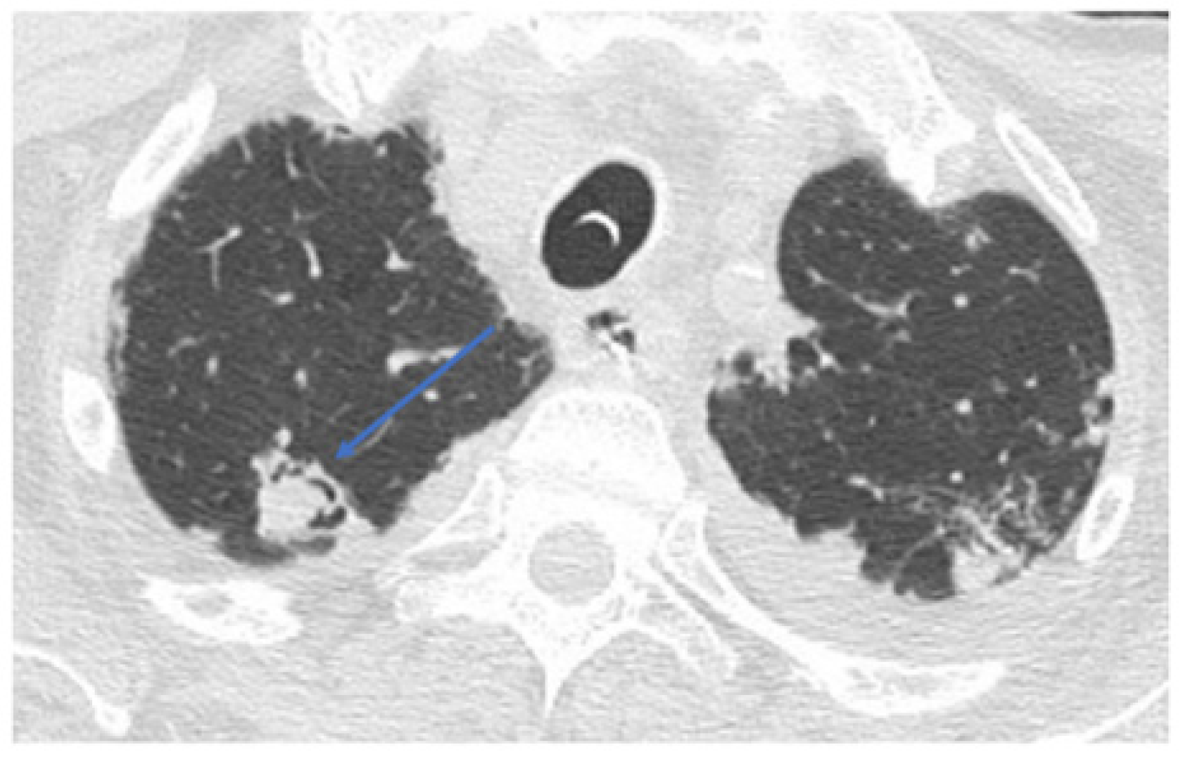 Healthcare 10 02483 g004 Healthcare 10 02483 g004