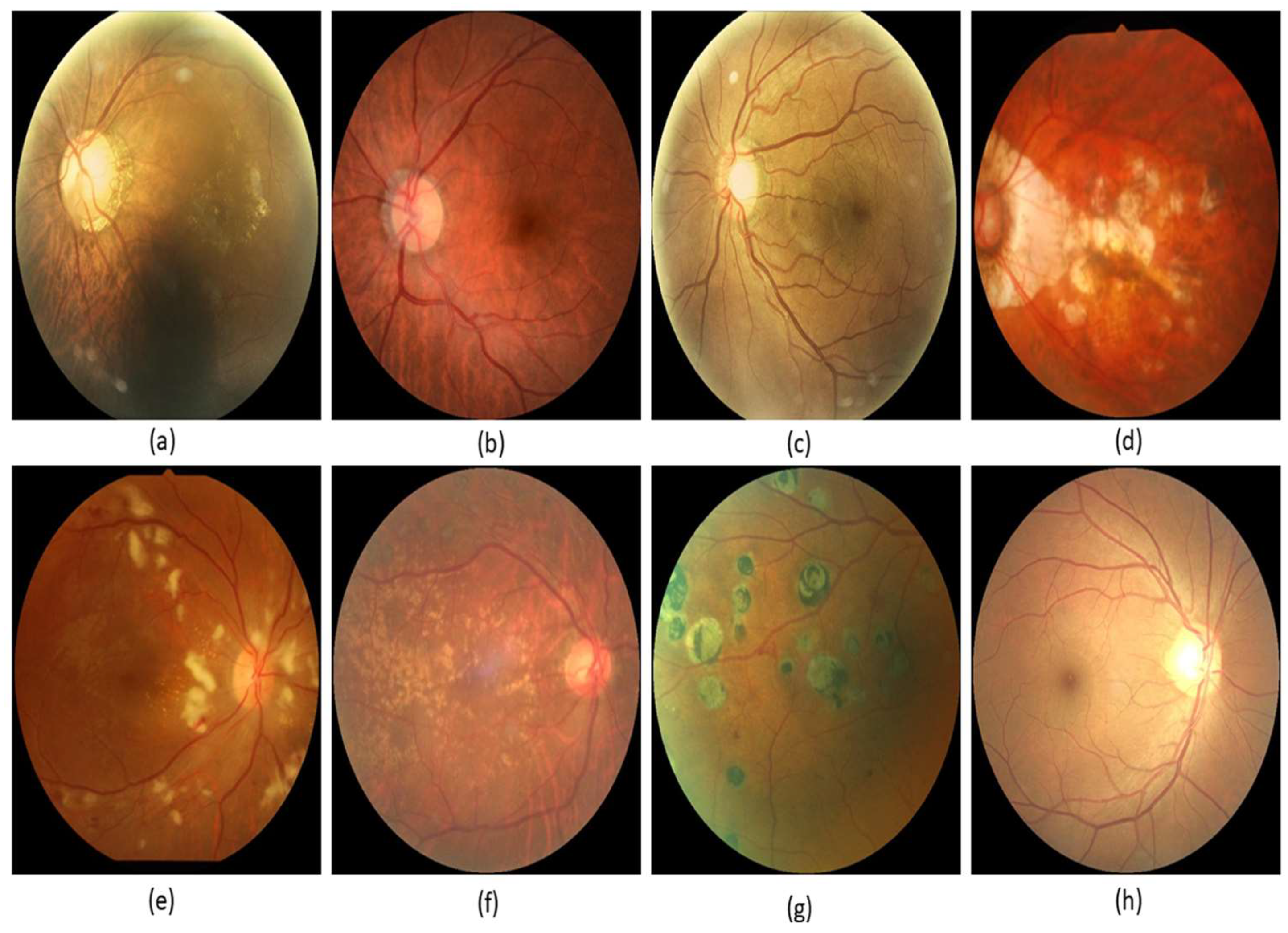 Healthcare 10 02497 g001