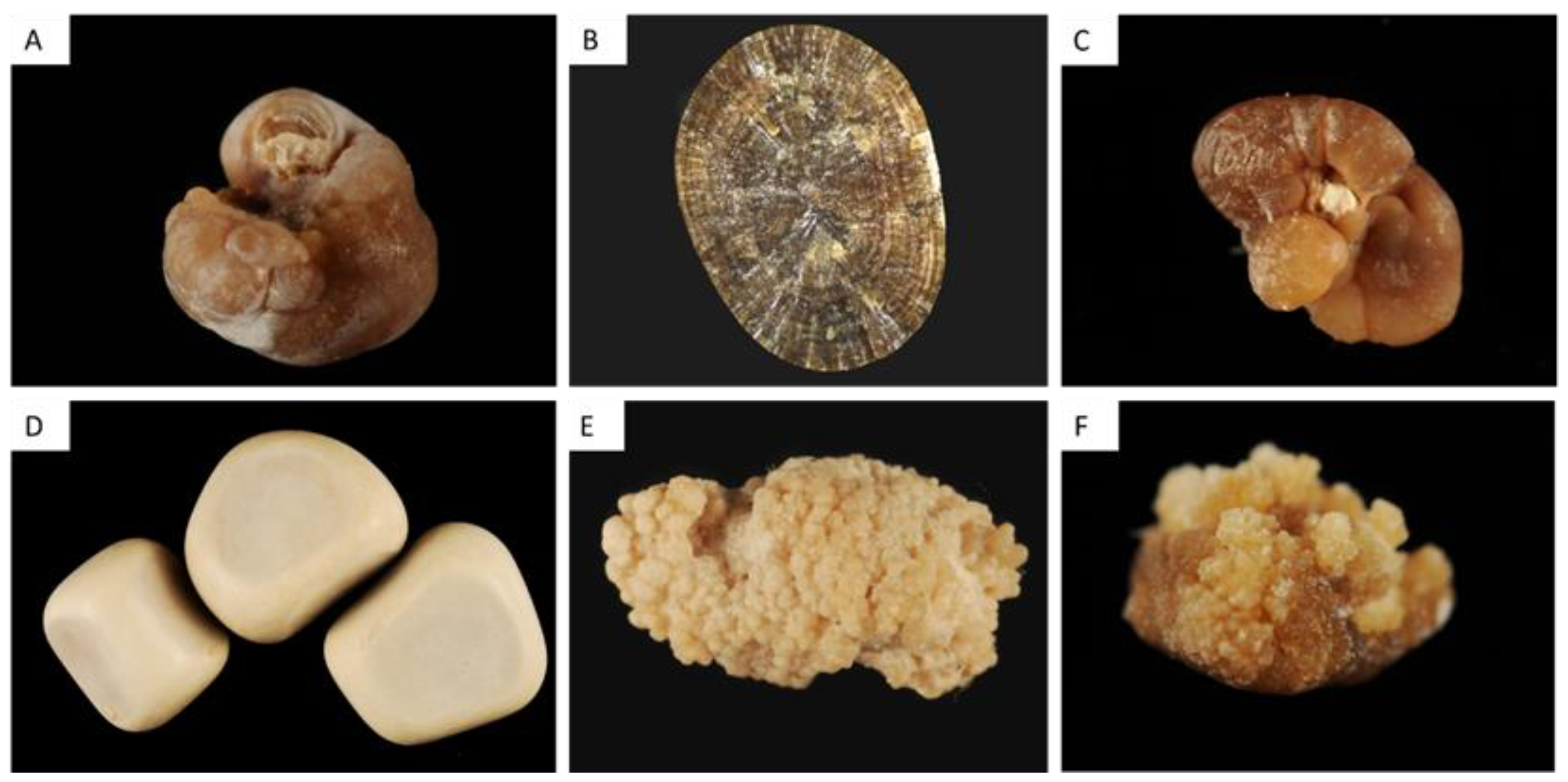 Healthcare 11 00002 g001