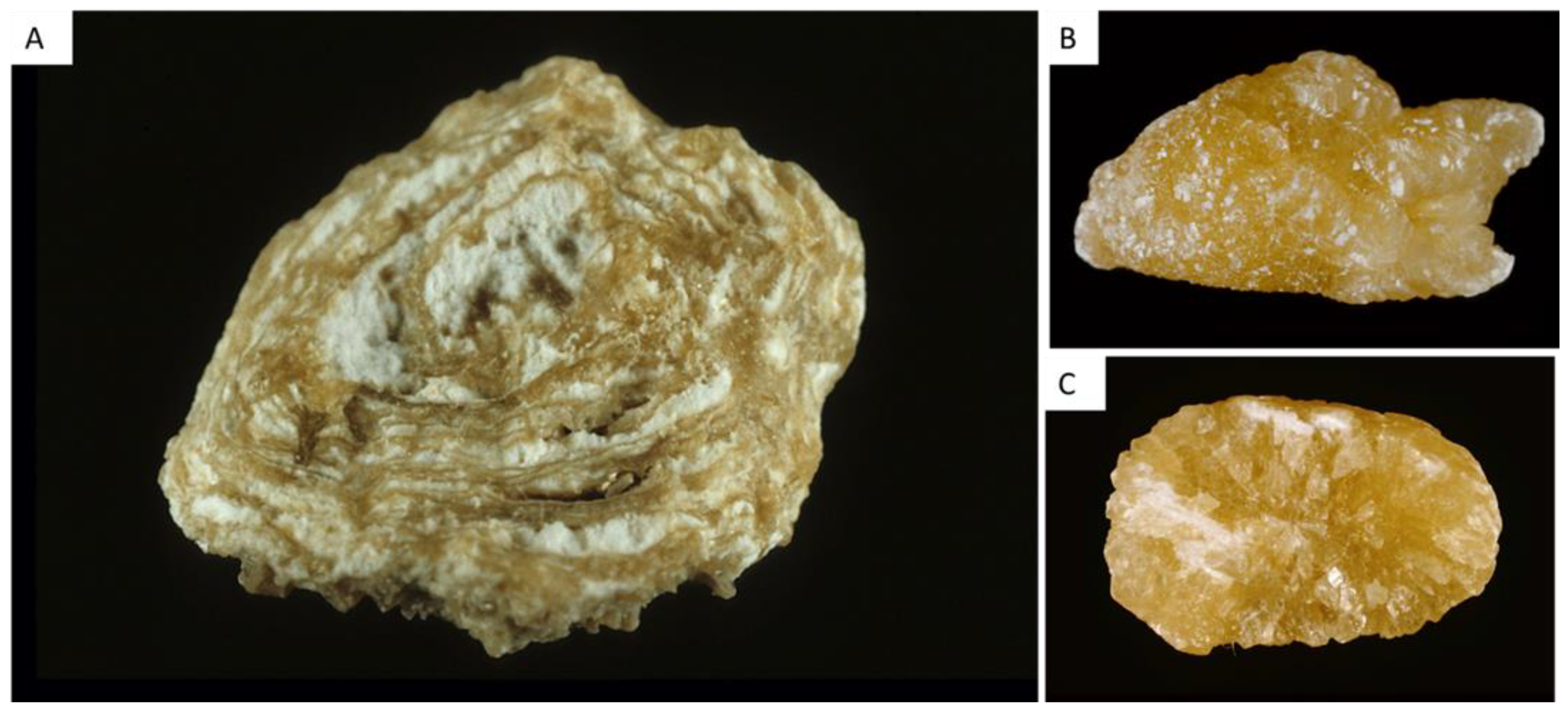 Healthcare 11 00002 g005