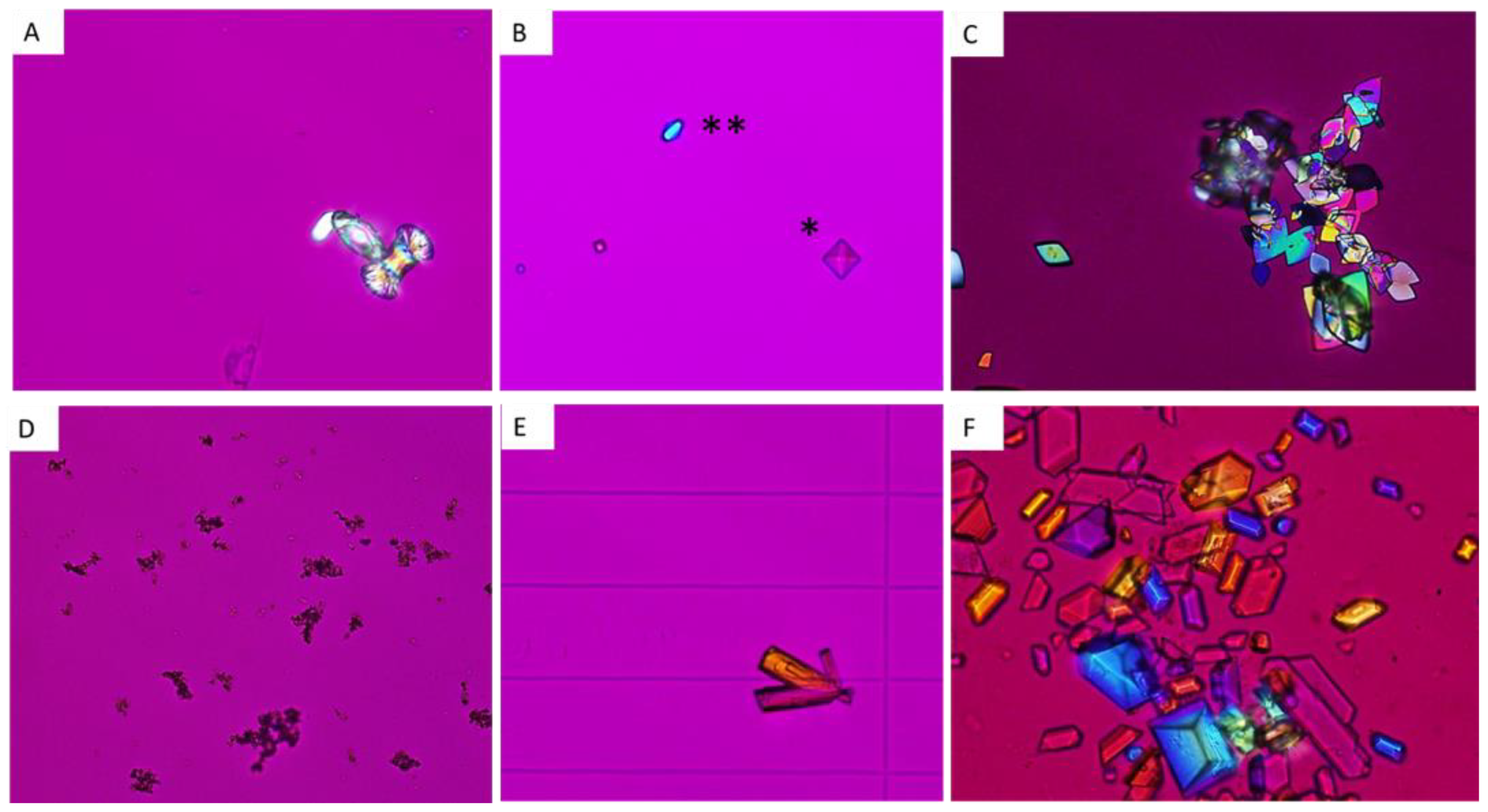 Healthcare 11 00002 g006