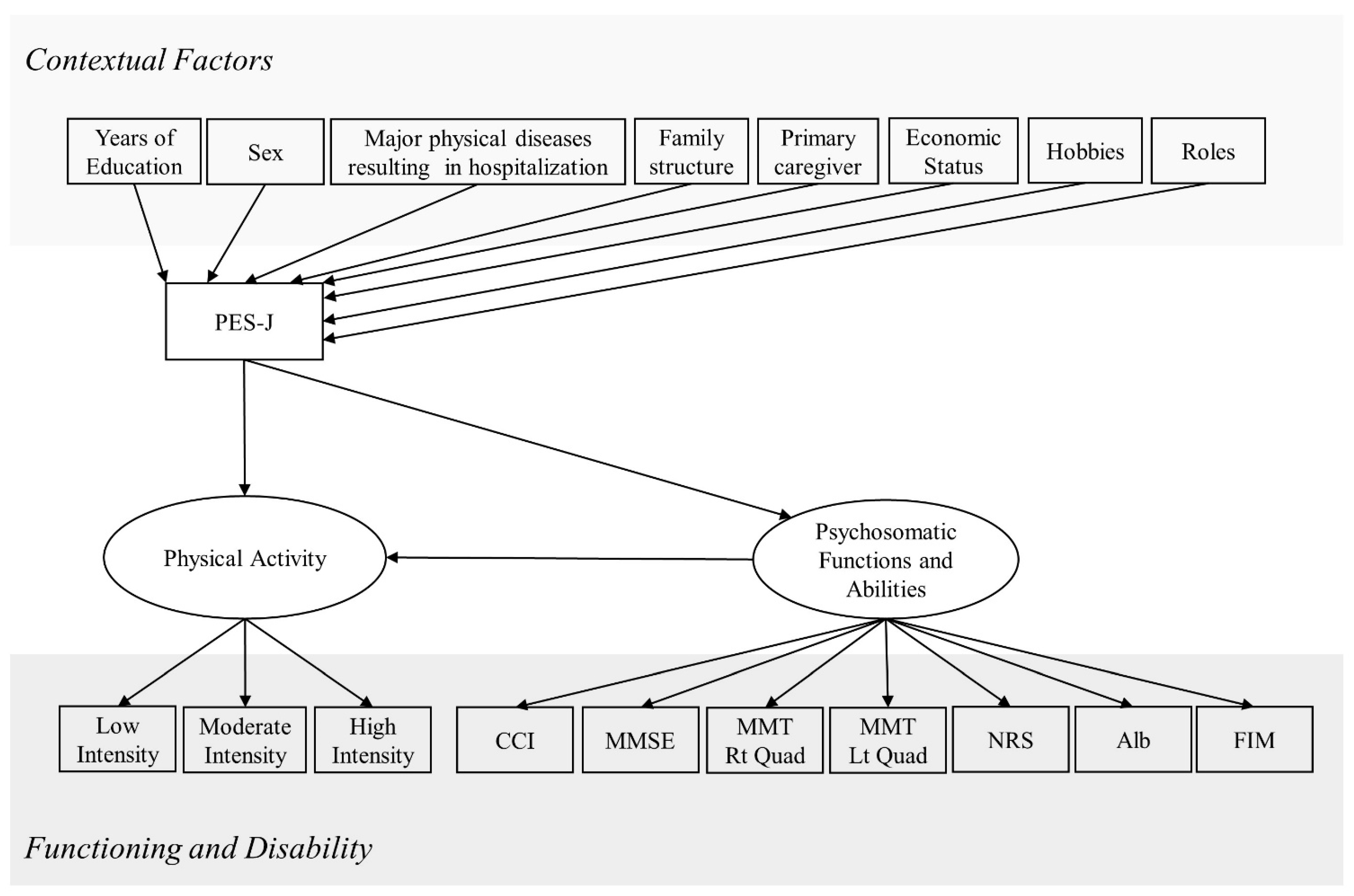 Healthcare 11 00044 g001 Healthcare 11 00044 g001