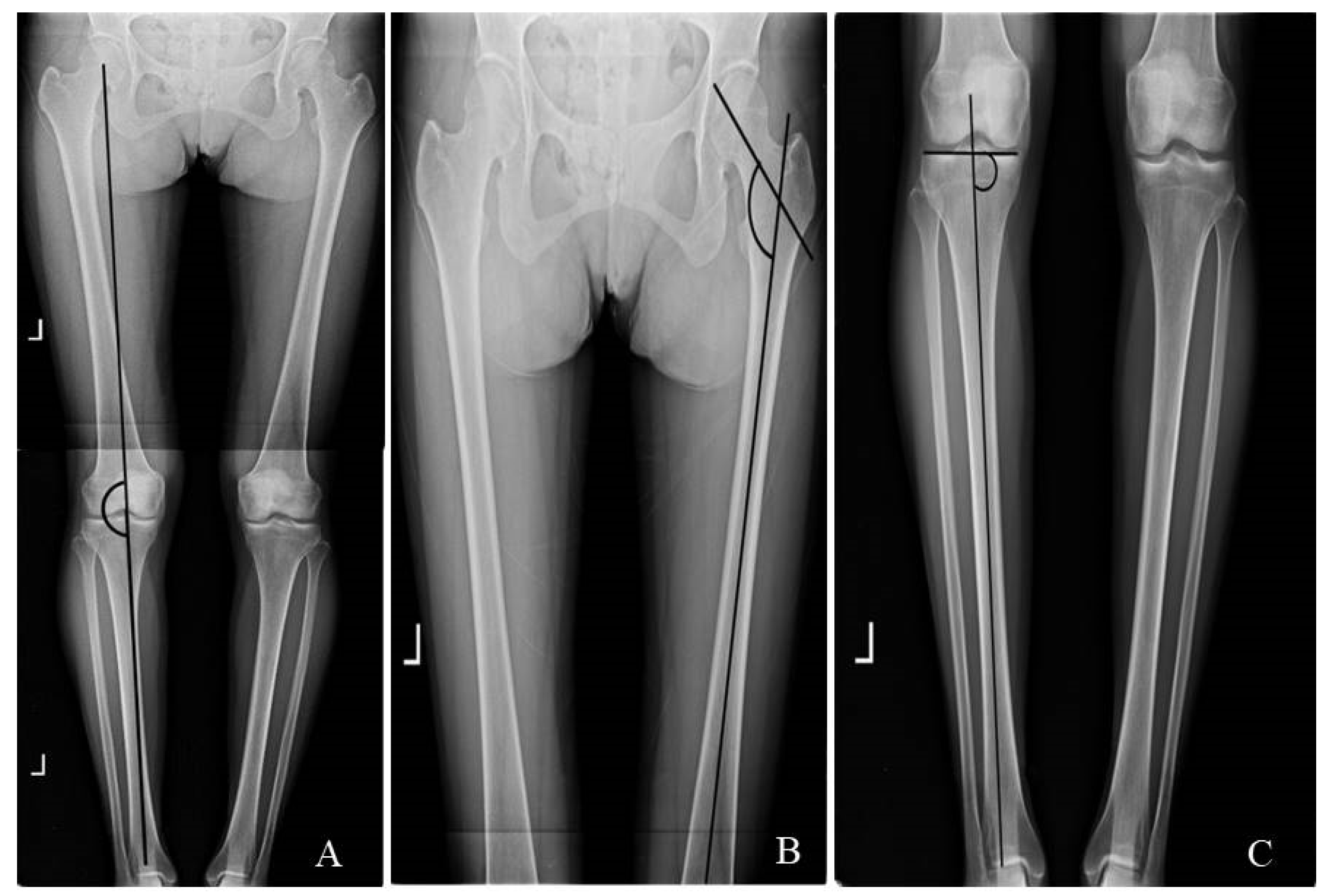 Healthcare 11 00122 g002 Healthcare 11 00122 g002