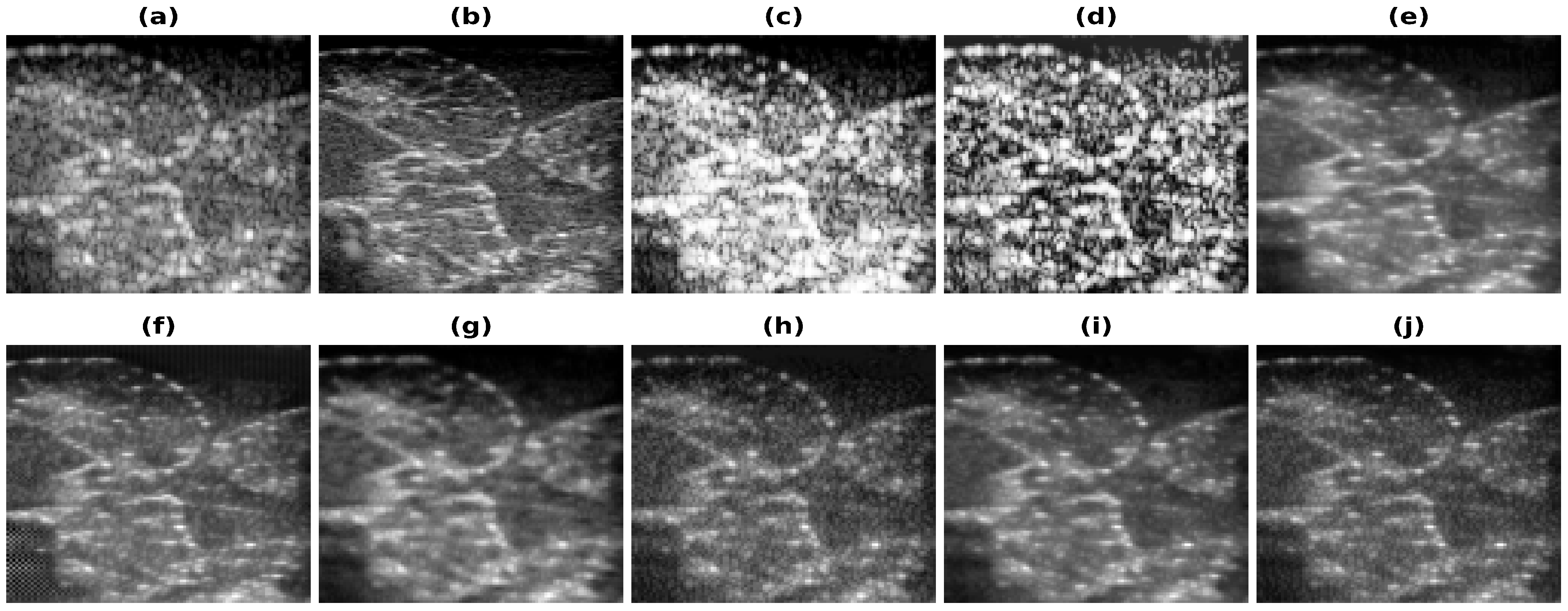 Healthcare 11 00123 g007 Healthcare 11 00123 g007