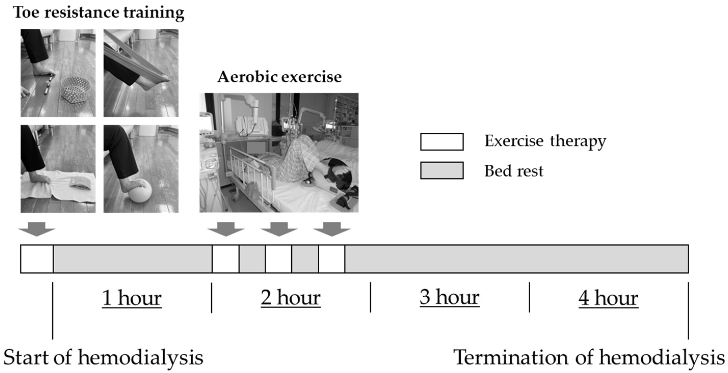 Healthcare 11 00137 g002 Healthcare 11 00137 g002