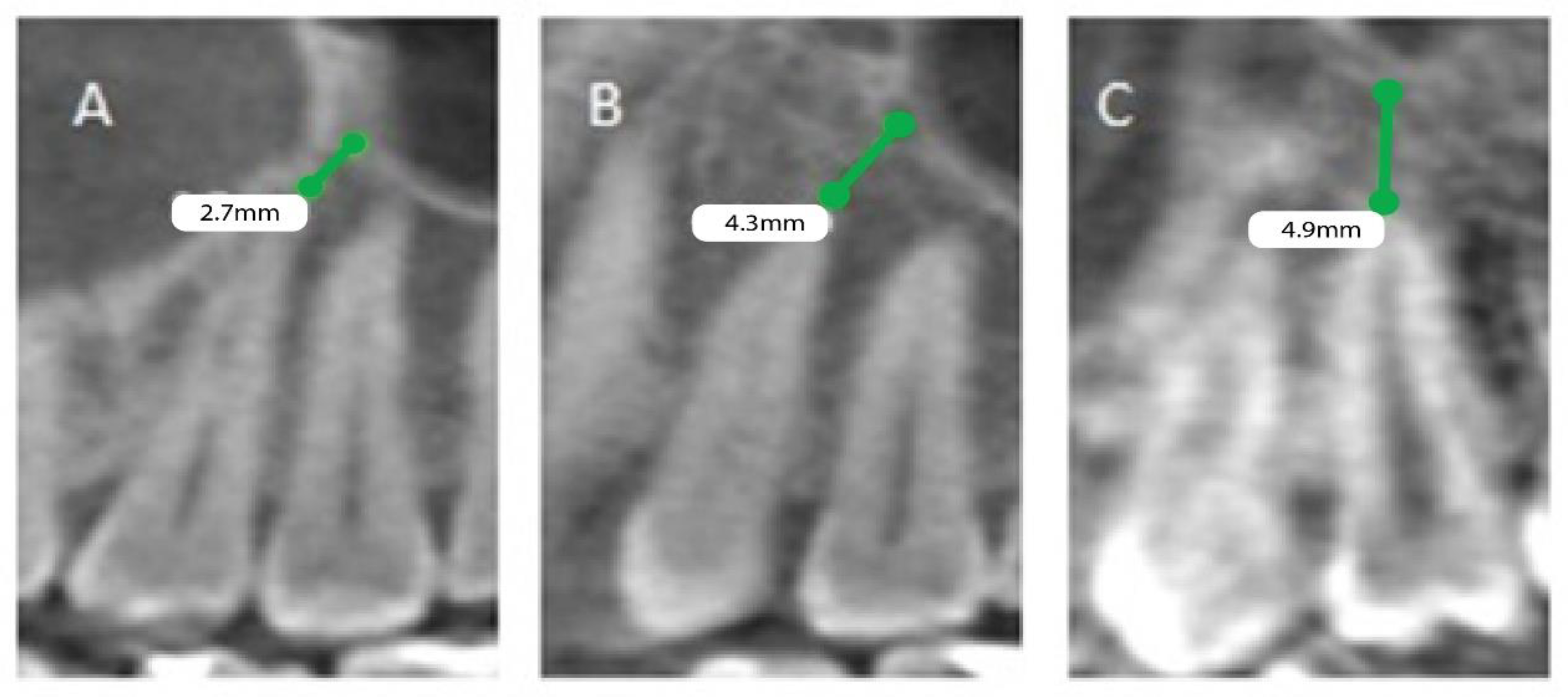 Healthcare 11 00150 g002 Healthcare 11 00150 g002