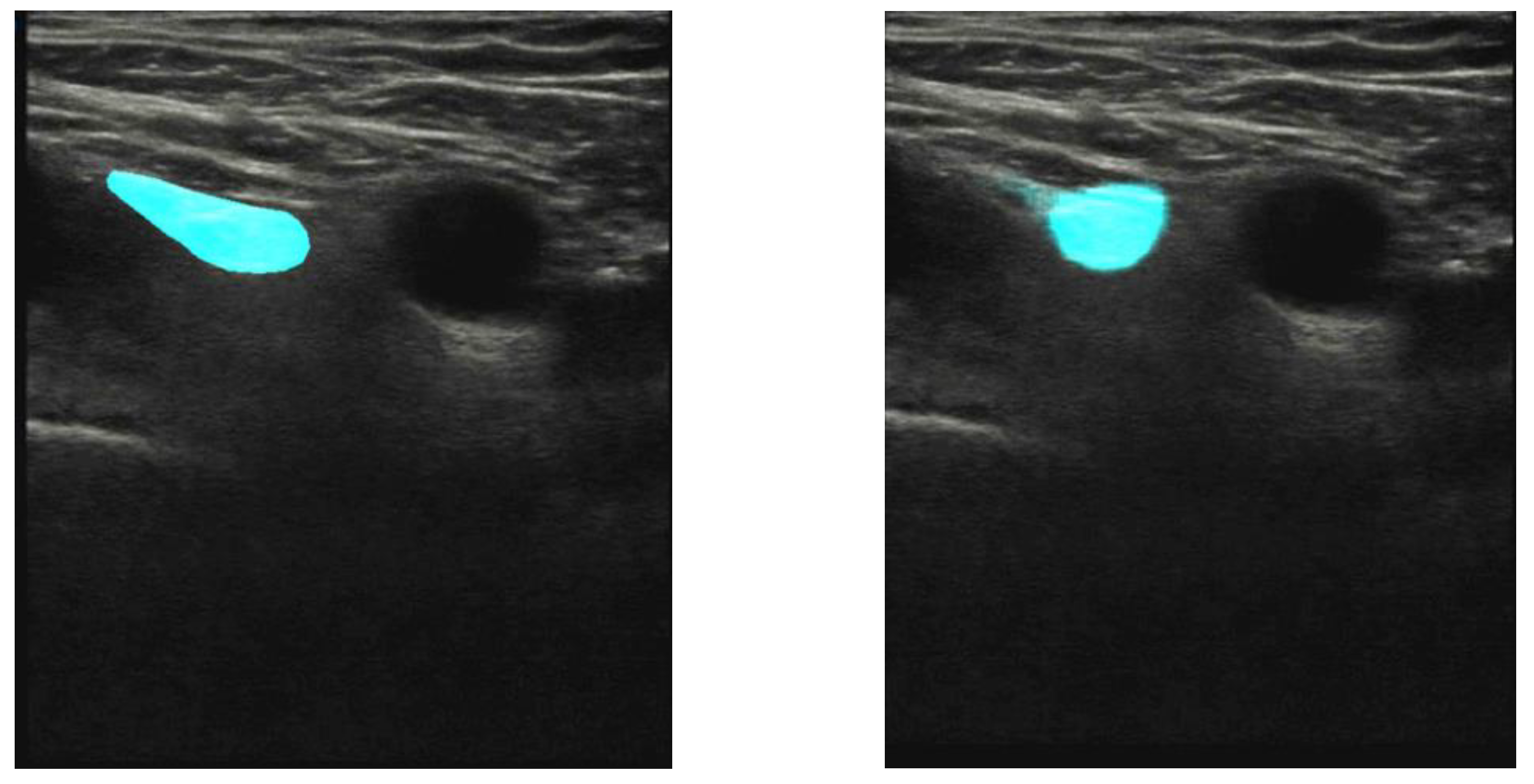 Healthcare 11 00184 g004