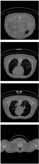 Healthcare 11 00213 i016 Healthcare 11 00213 i016
