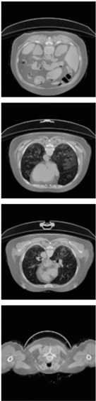 Healthcare 11 00213 i017 Healthcare 11 00213 i017