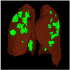 Healthcare 11 00213 i037 Healthcare 11 00213 i037